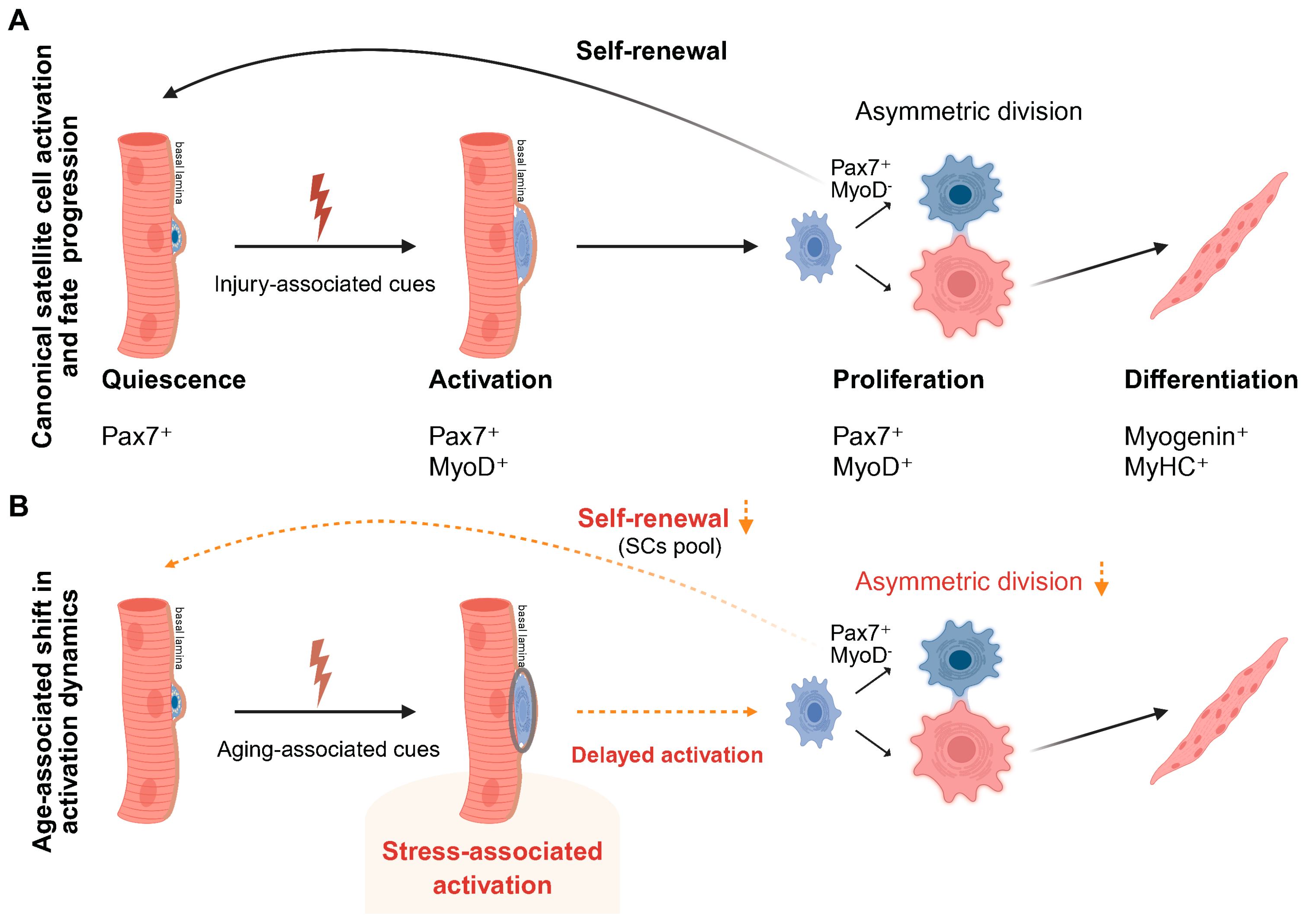 Preprints 196144 g001