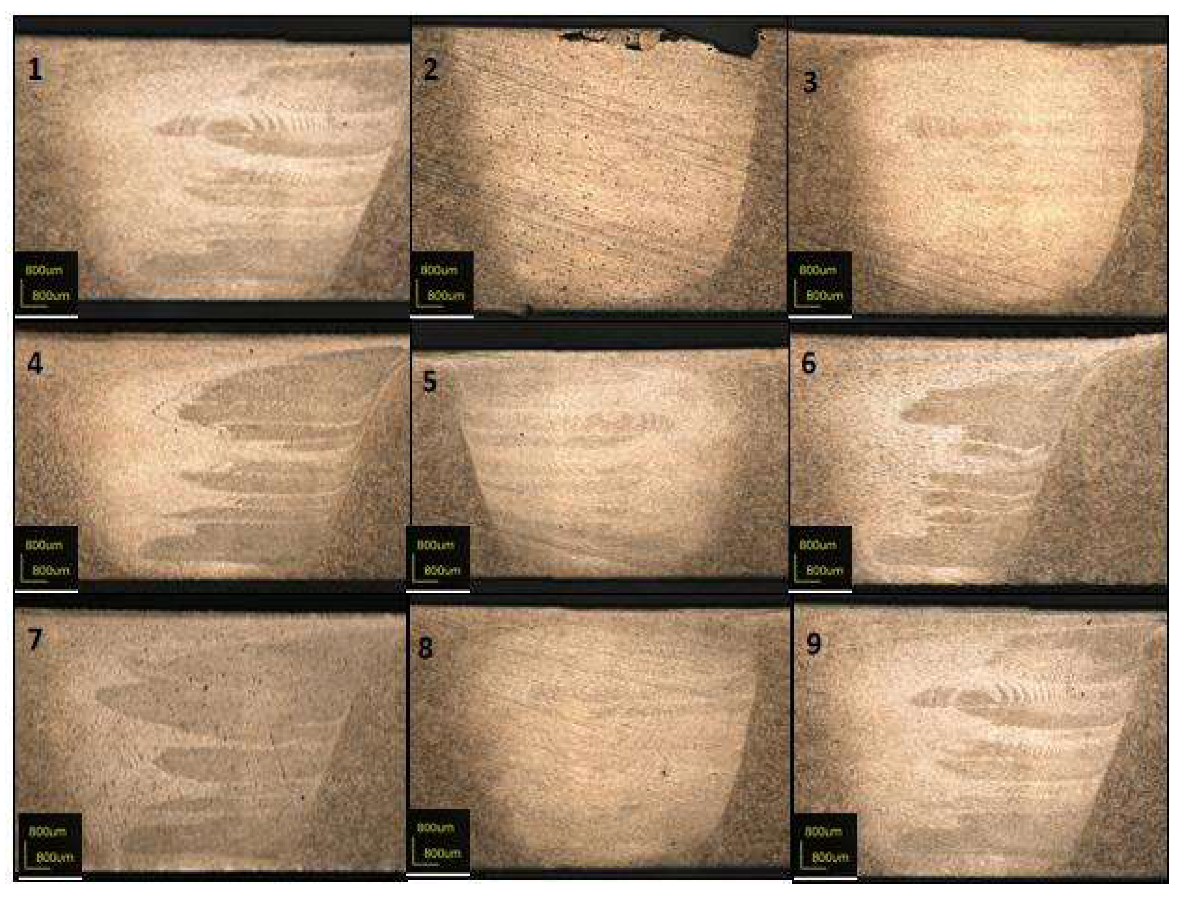 Preprints 149047 g033