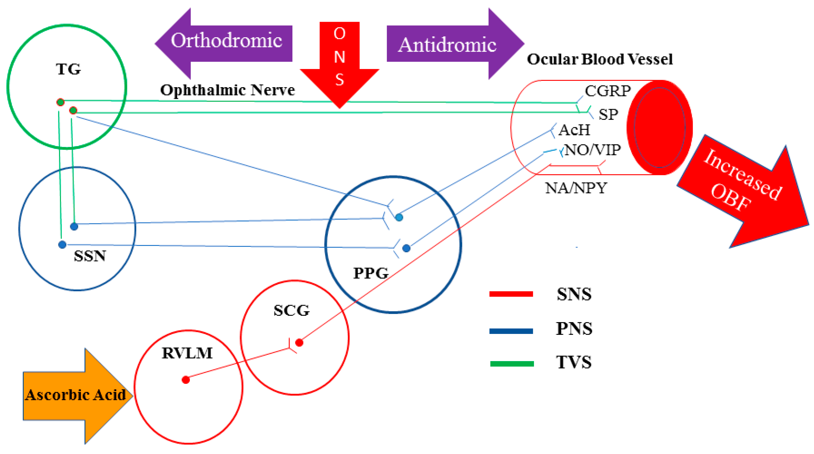 Preprints 103896 g001