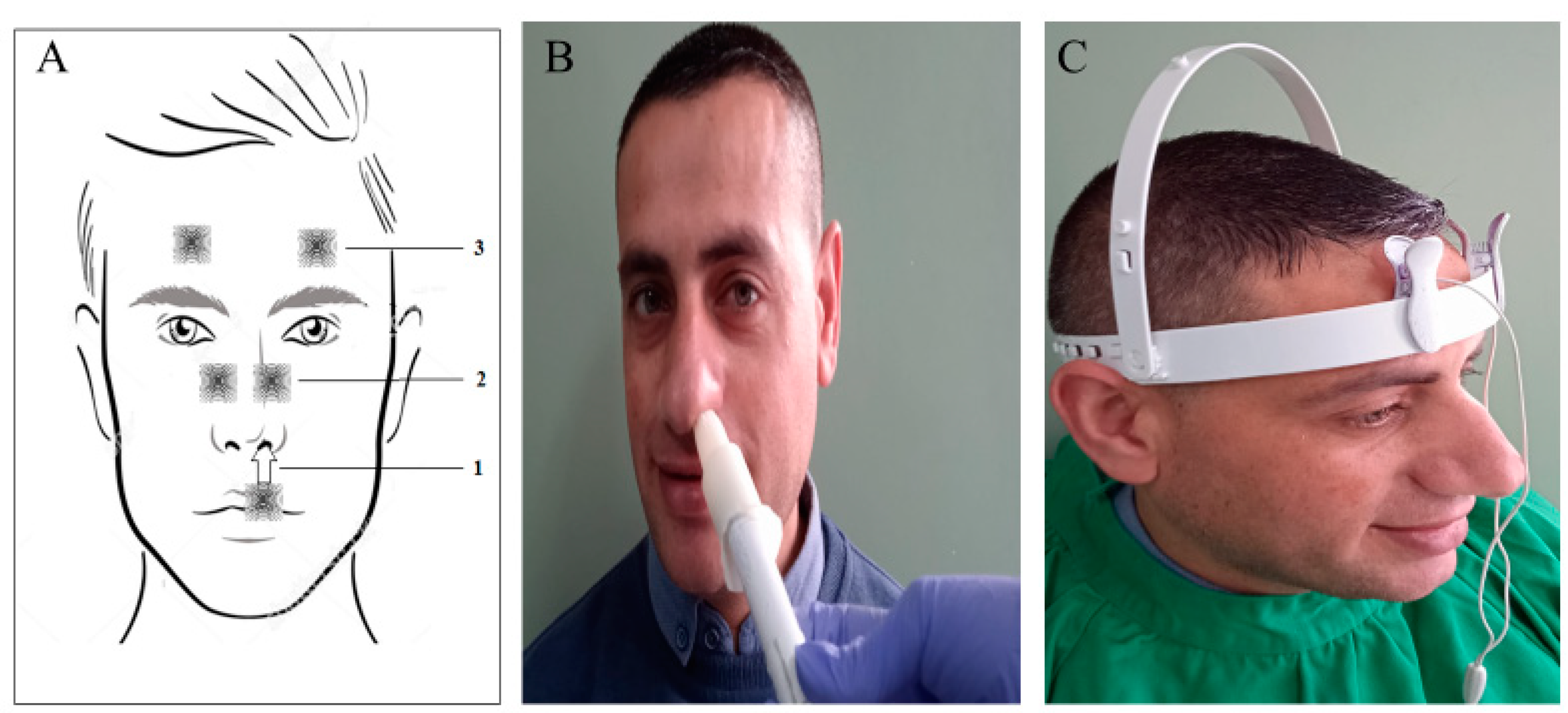 Preprints 103896 g002