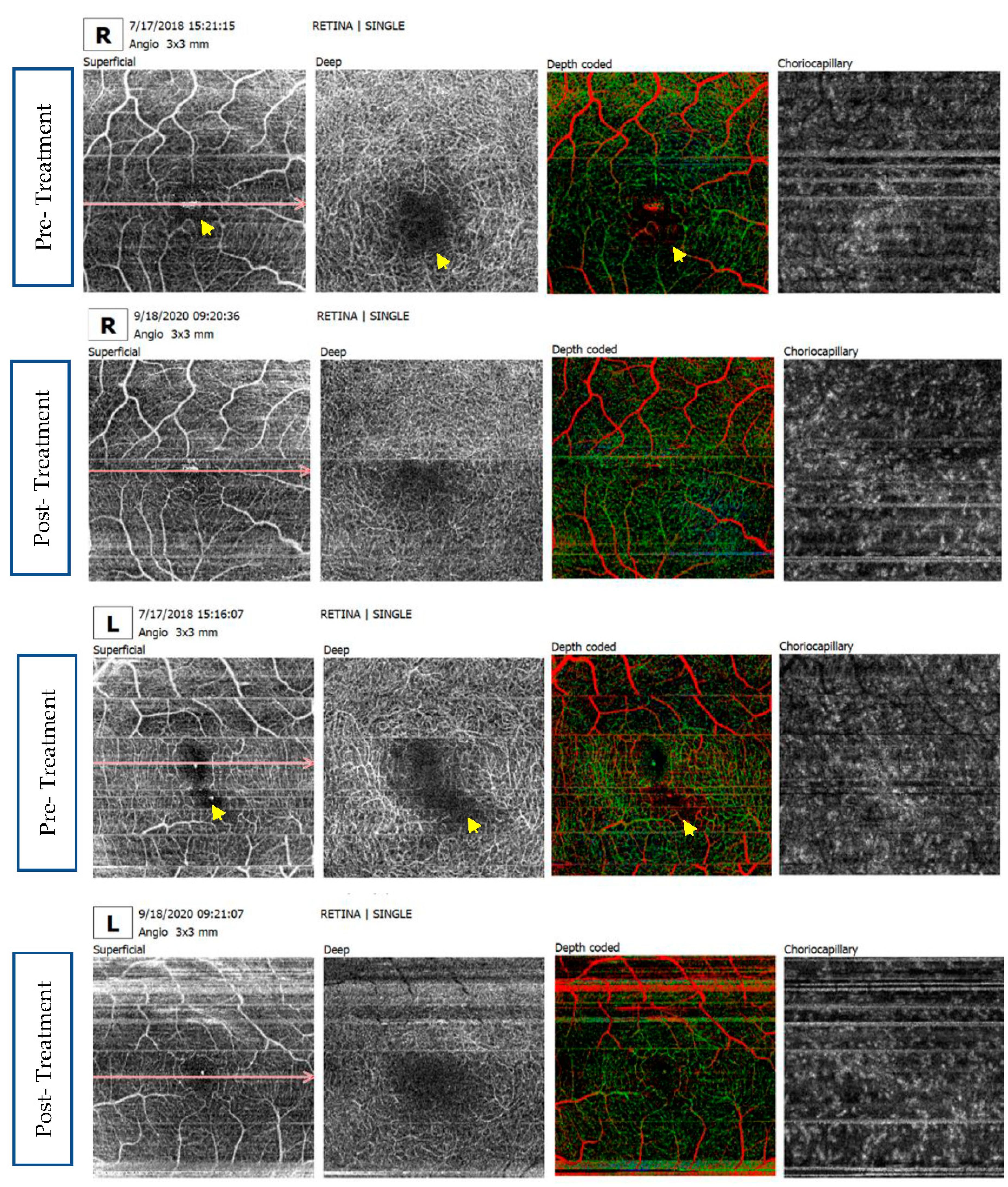 Preprints 103896 g004