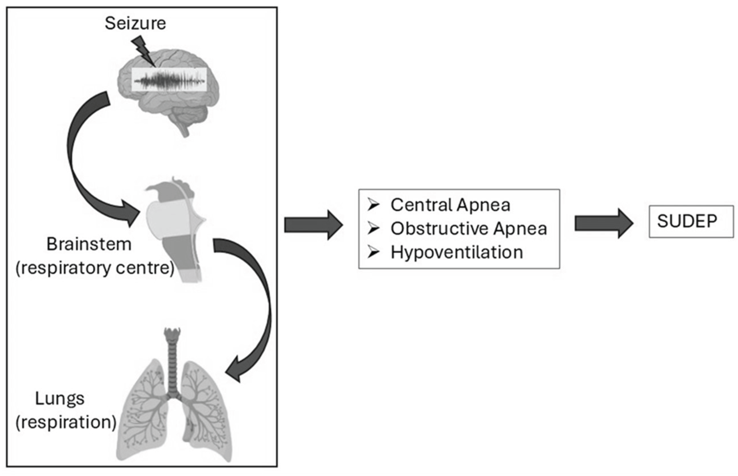 Preprints 162157 g001