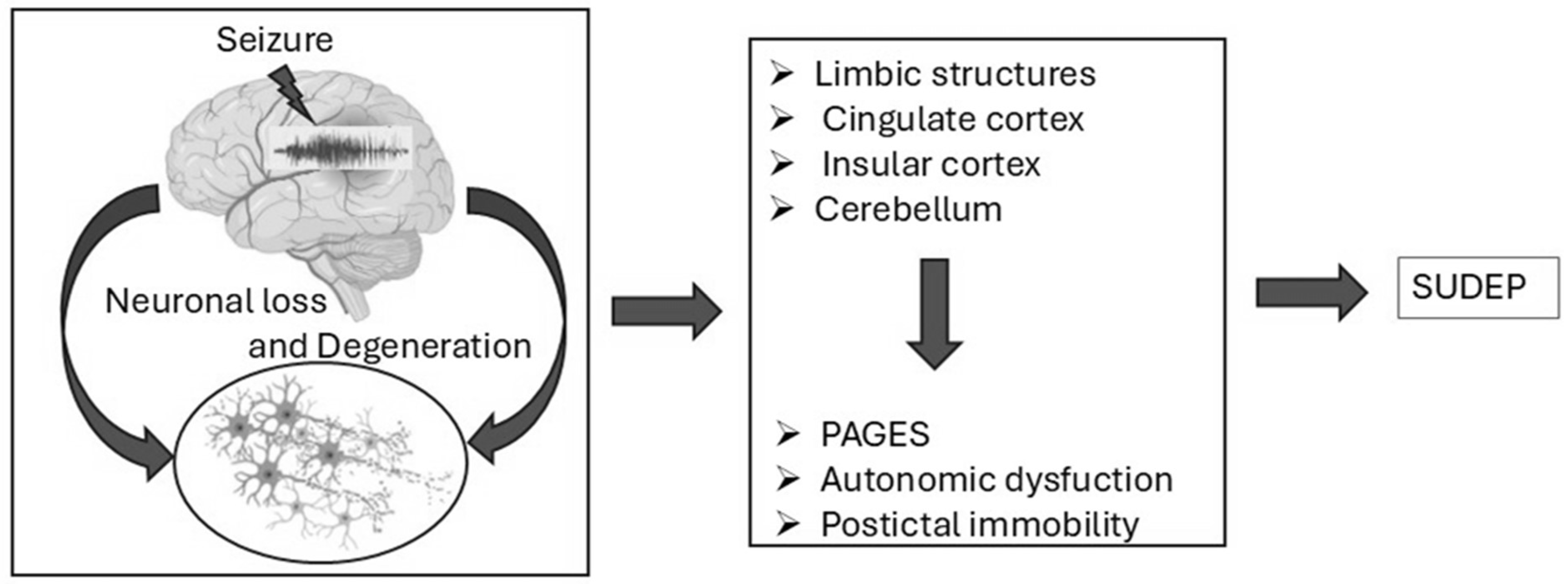 Preprints 162157 g002