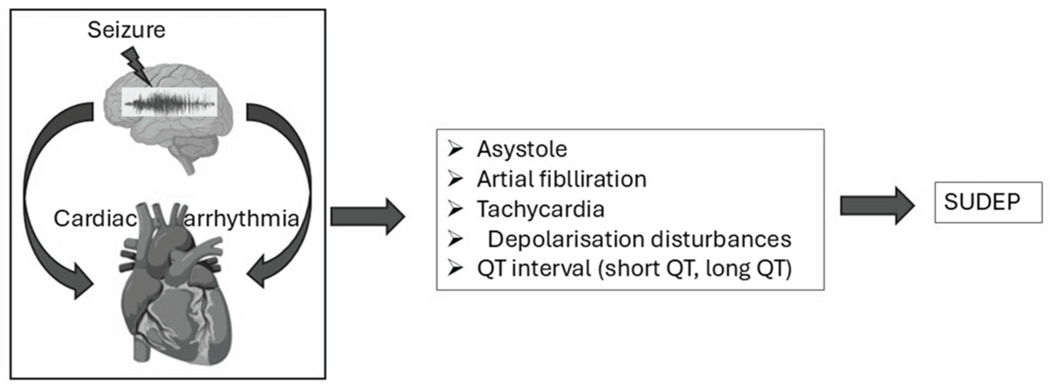 Preprints 162157 g003