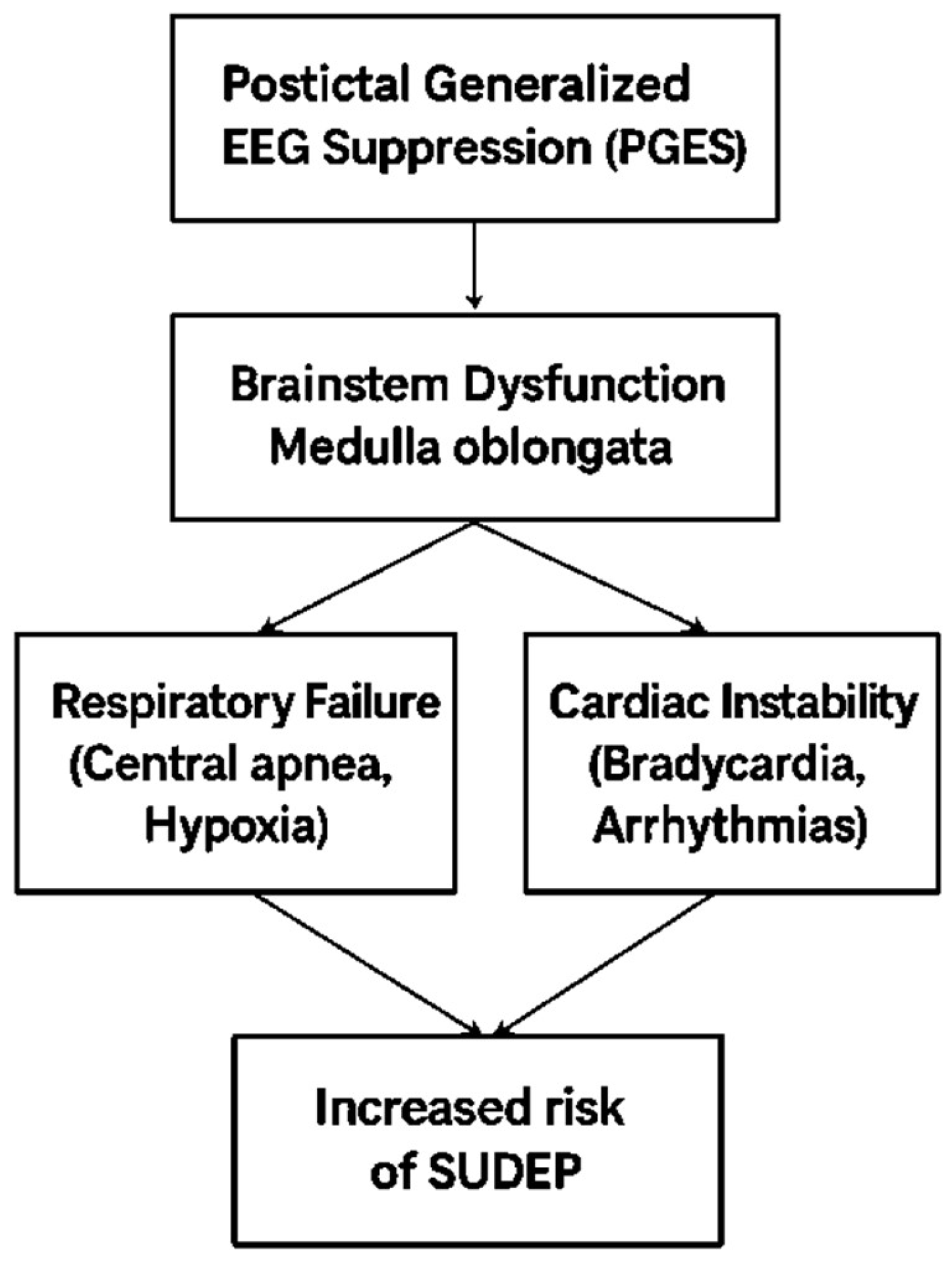 Preprints 162157 g004