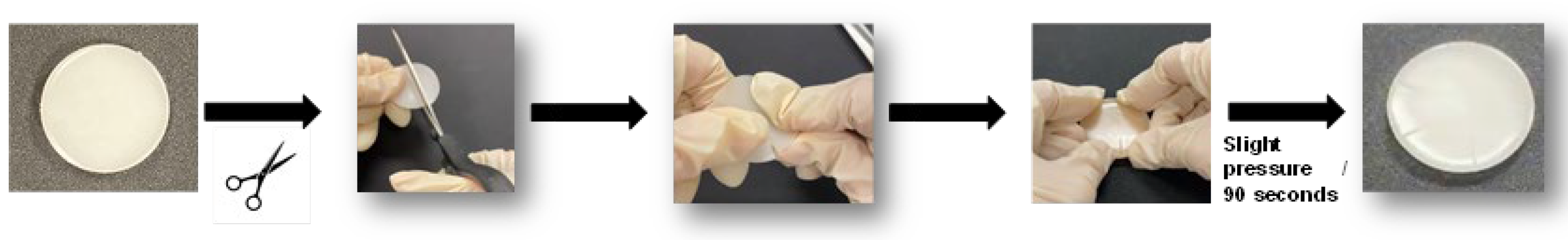 Preprints 174152 g006