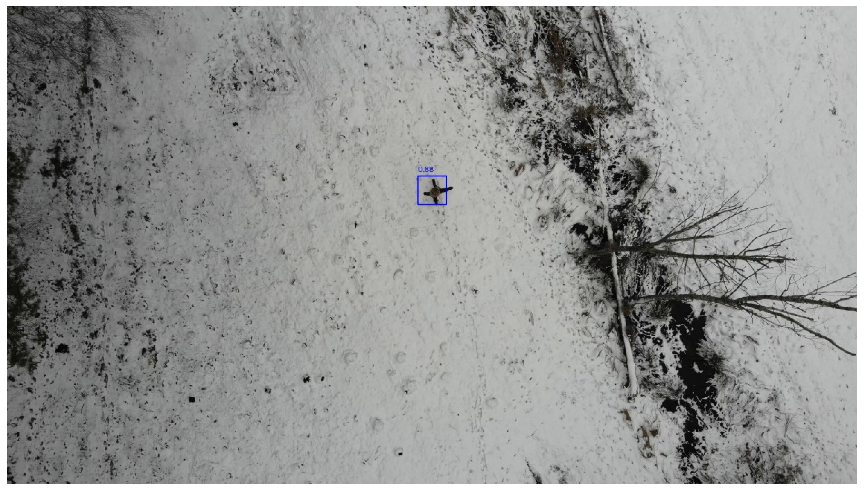 Preprints 166588 g006