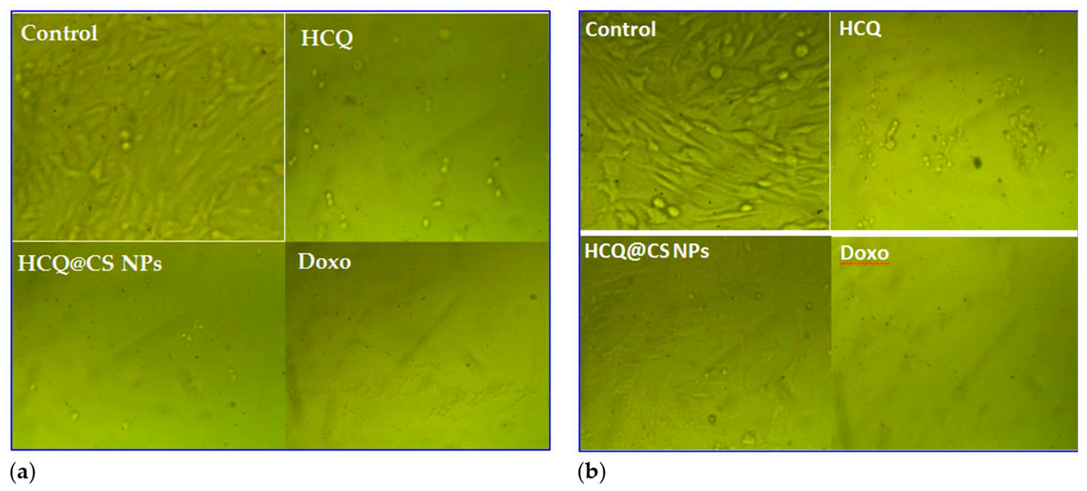 Preprints 81054 g012