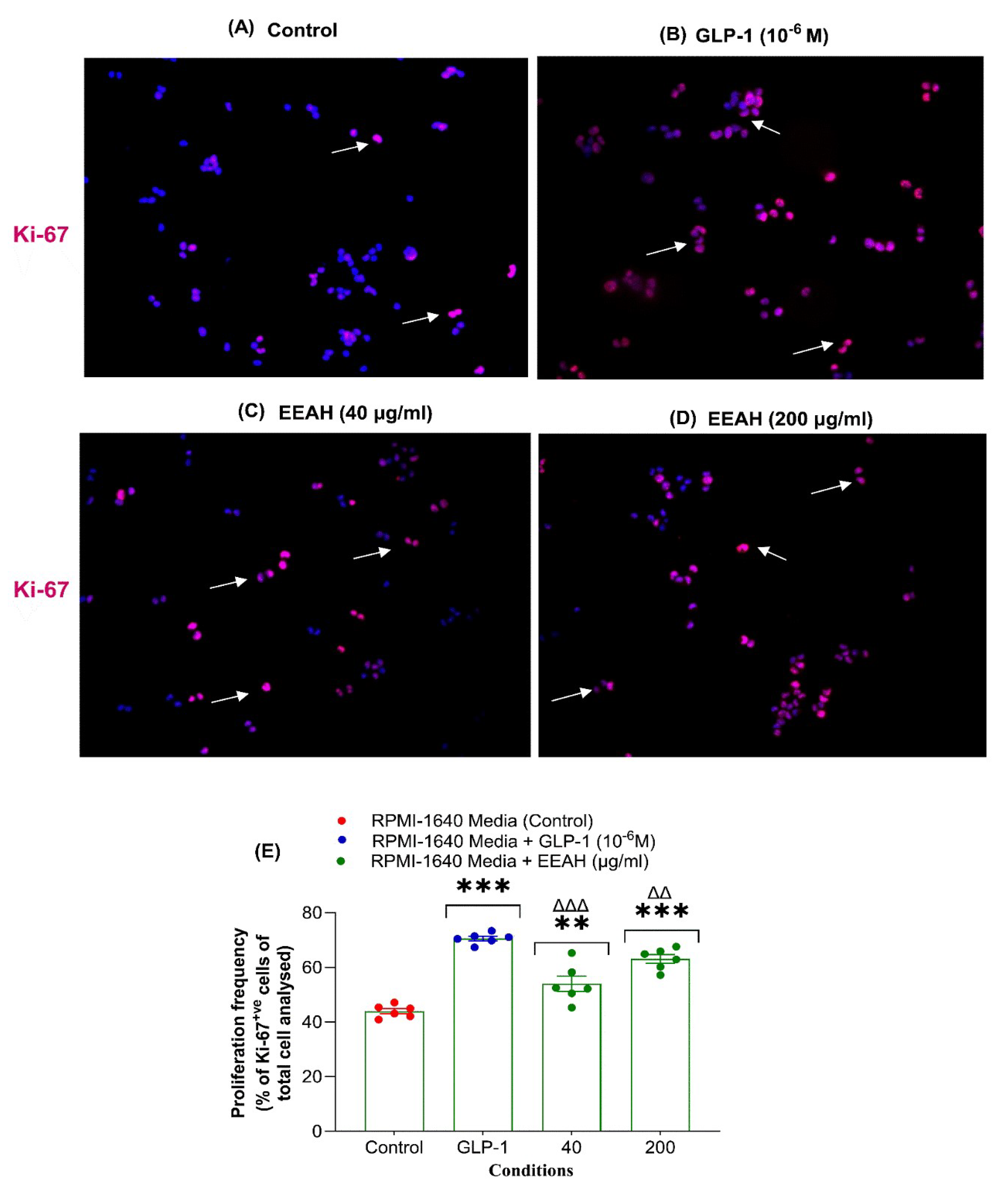 Preprints 162513 g002