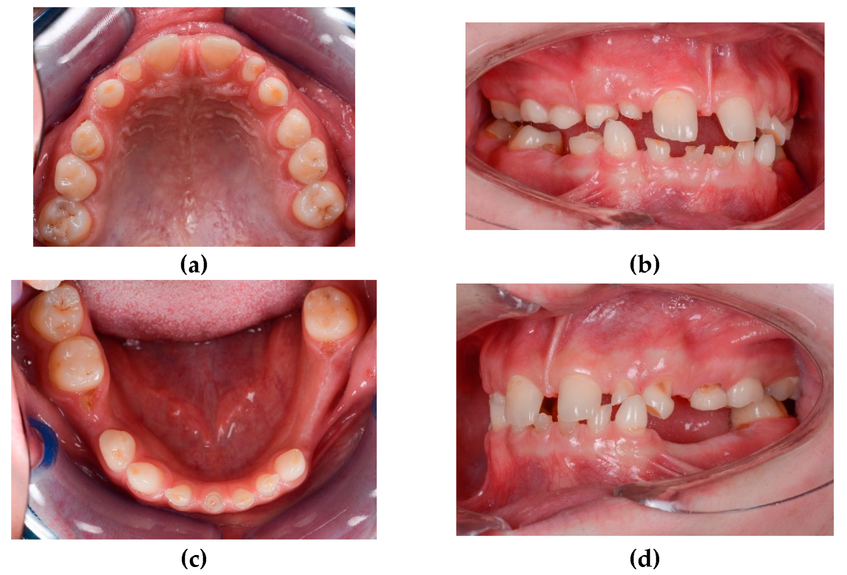 Preprints 100616 g003