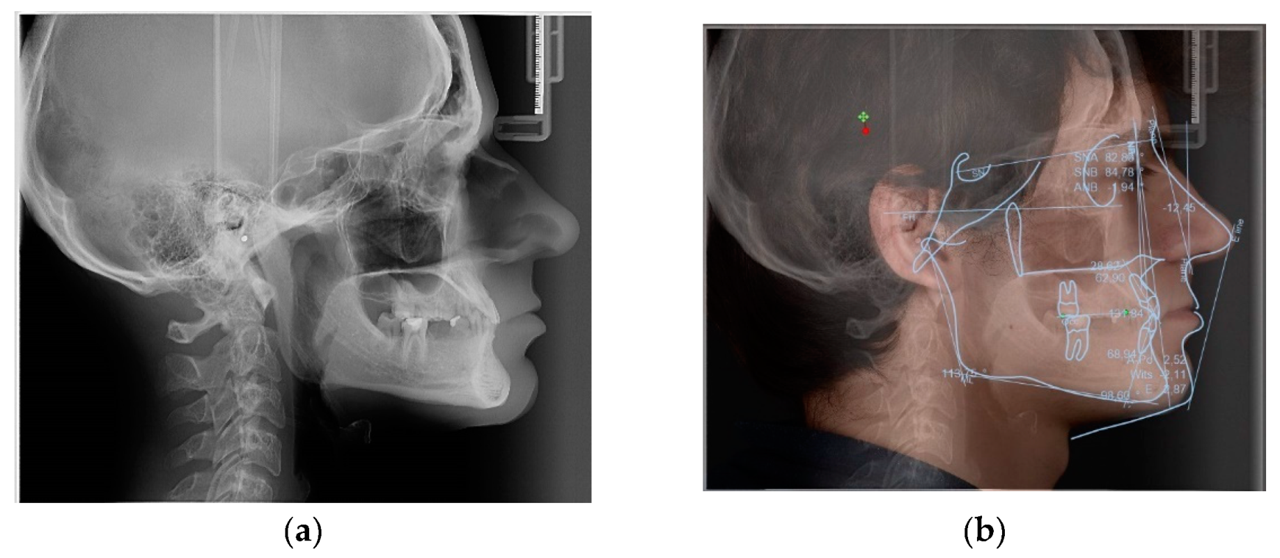 Preprints 100616 g005