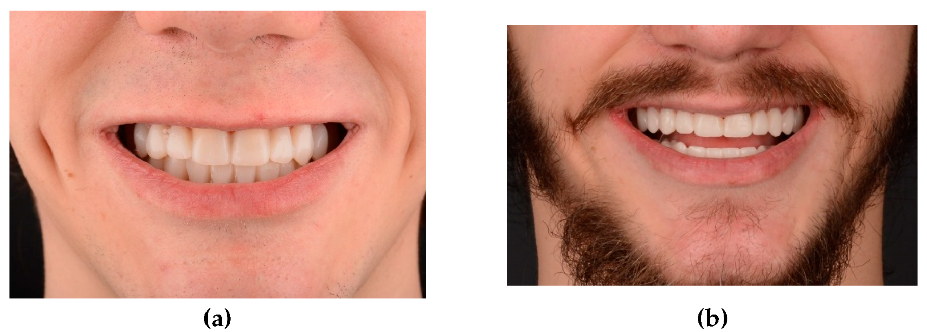 Preprints 100616 g007