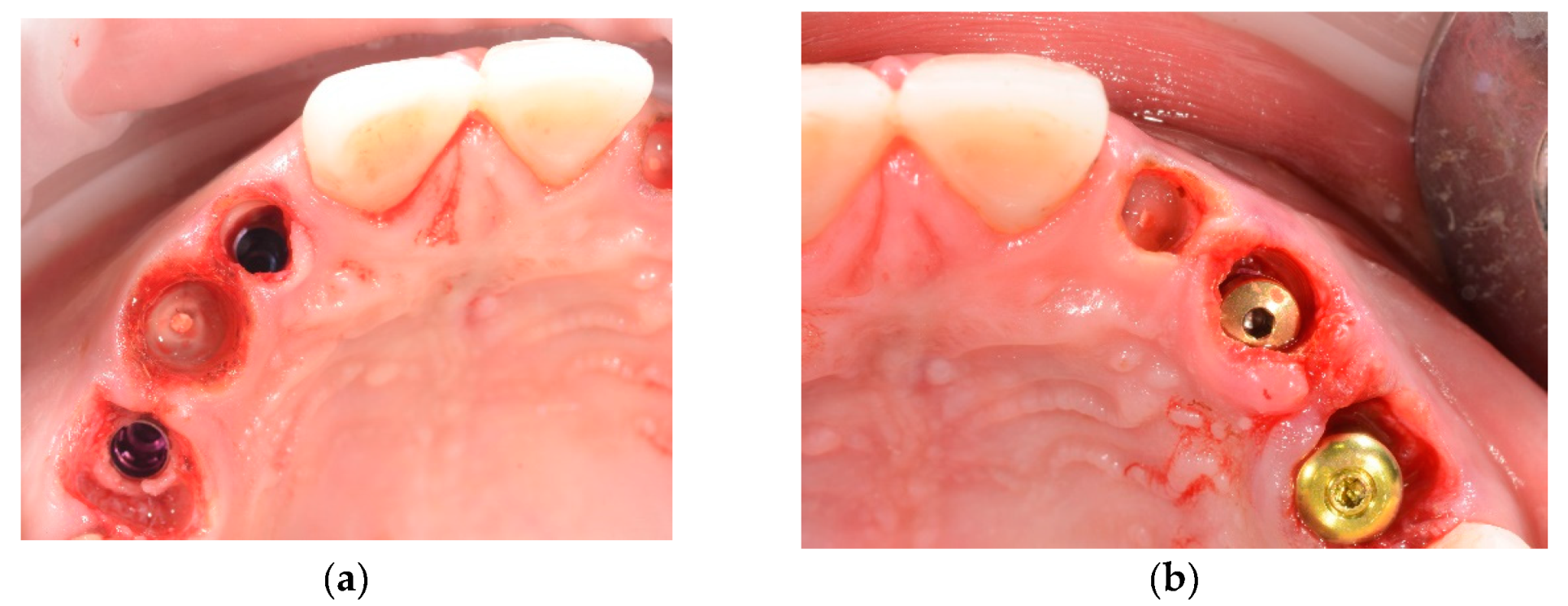 Preprints 100616 g010