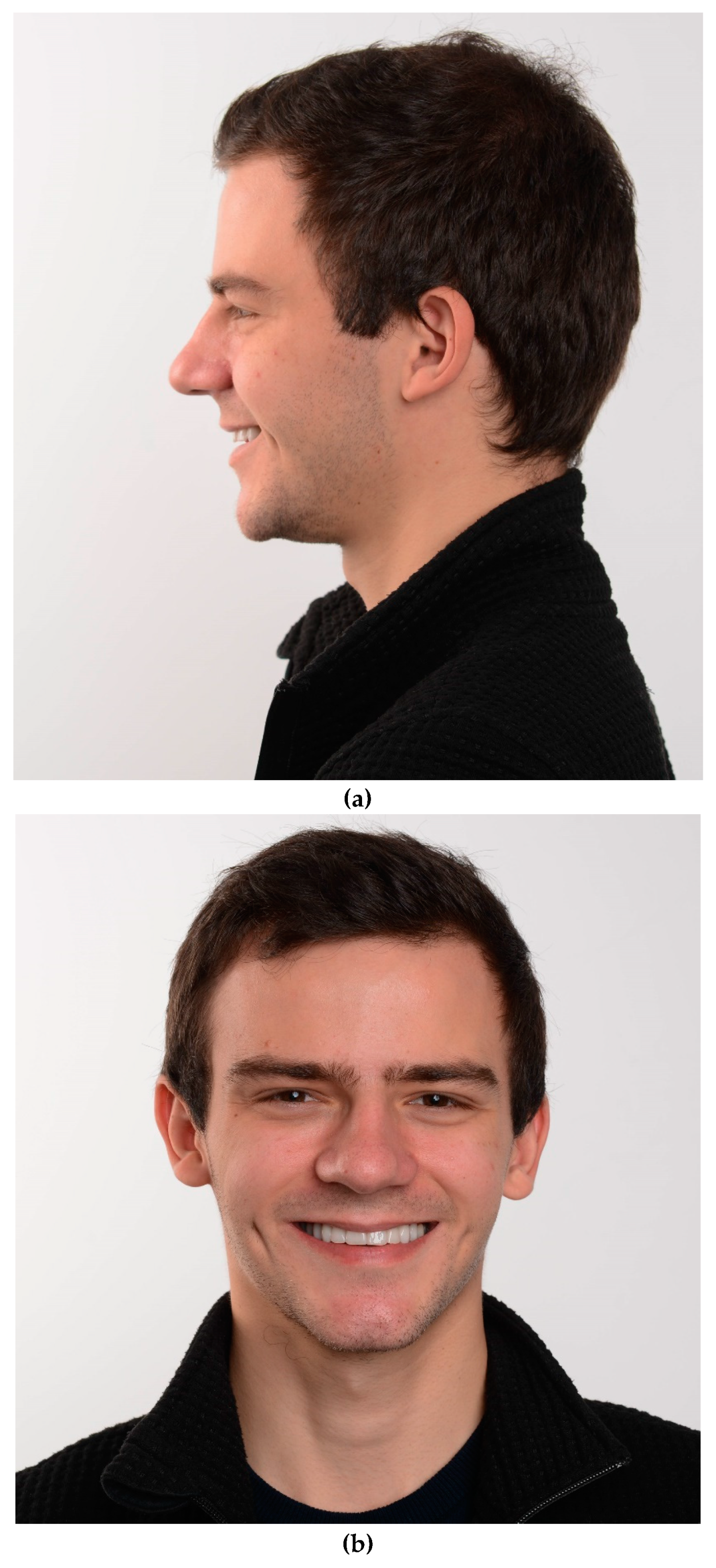 Preprints 100616 g020a