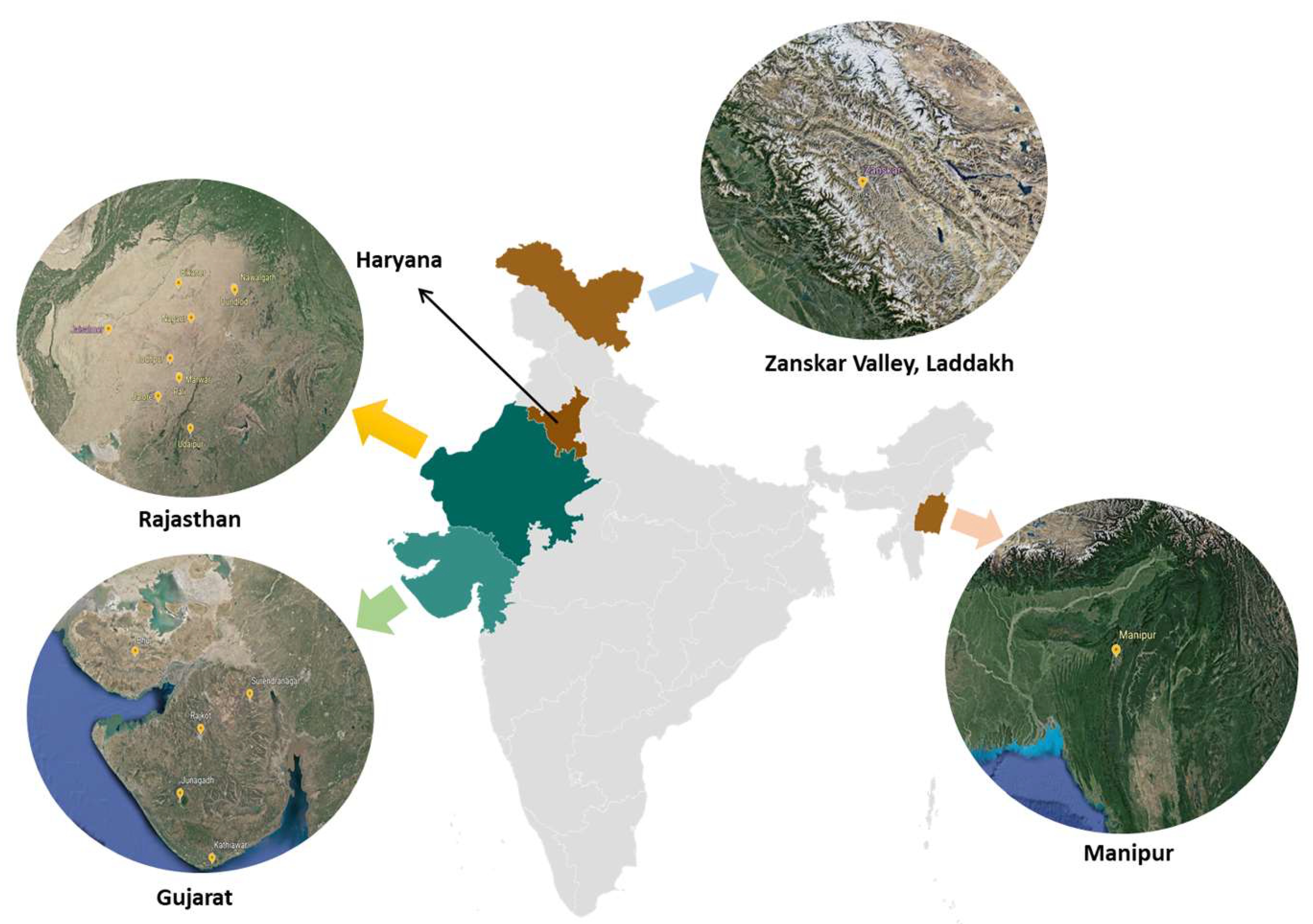 Preprints 161705 g001