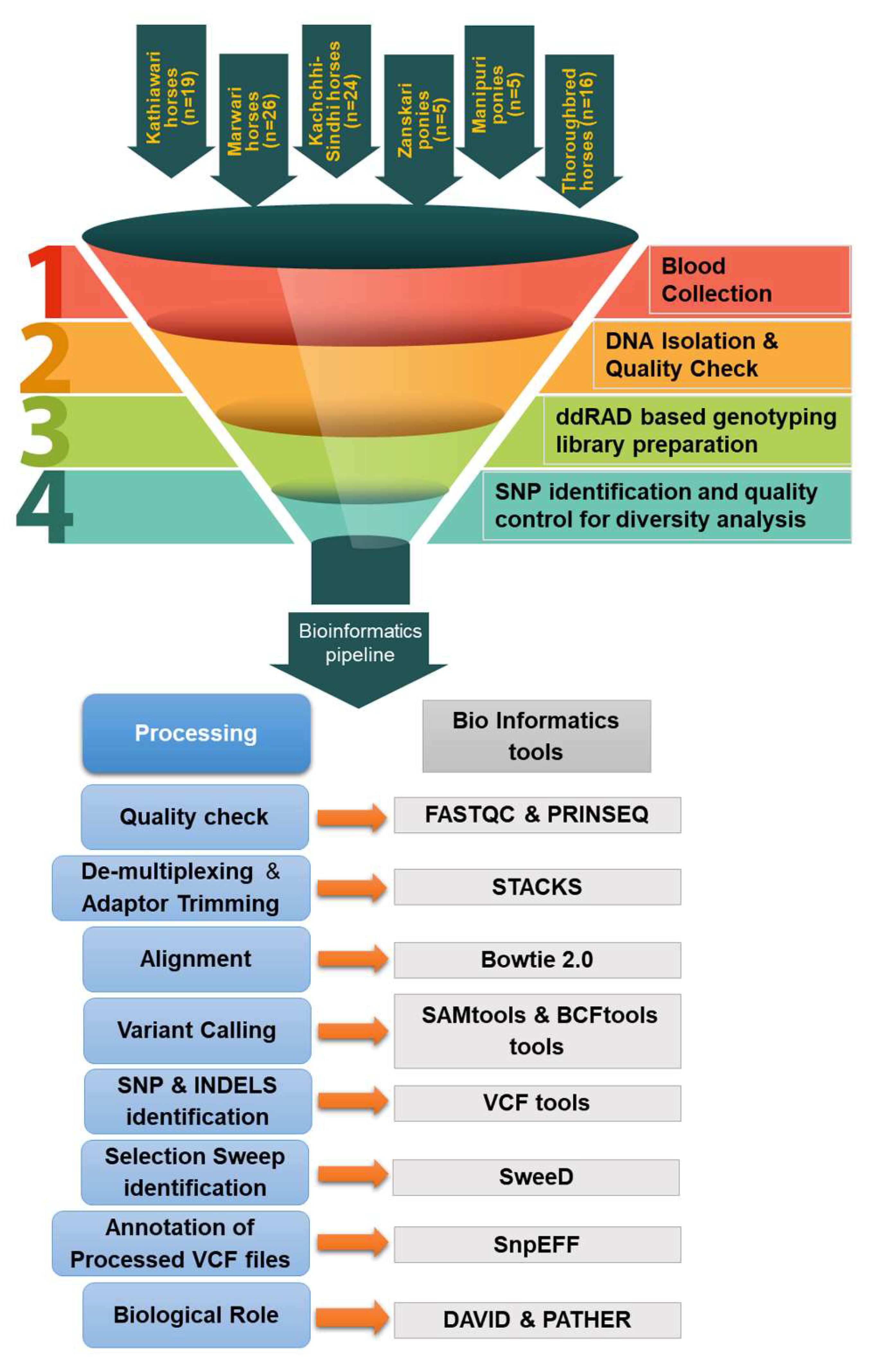 Preprints 161705 g002