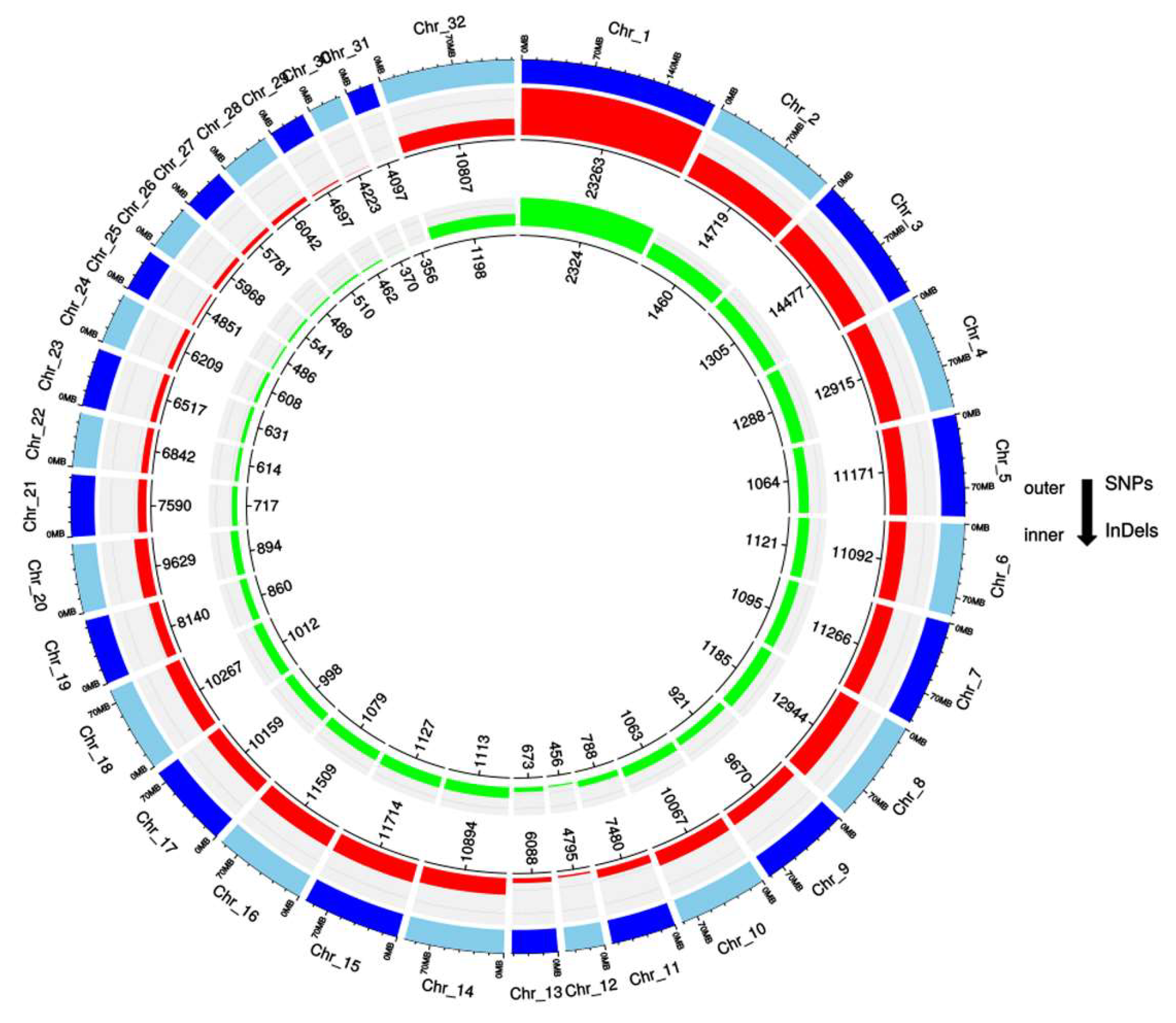 Preprints 161705 g003