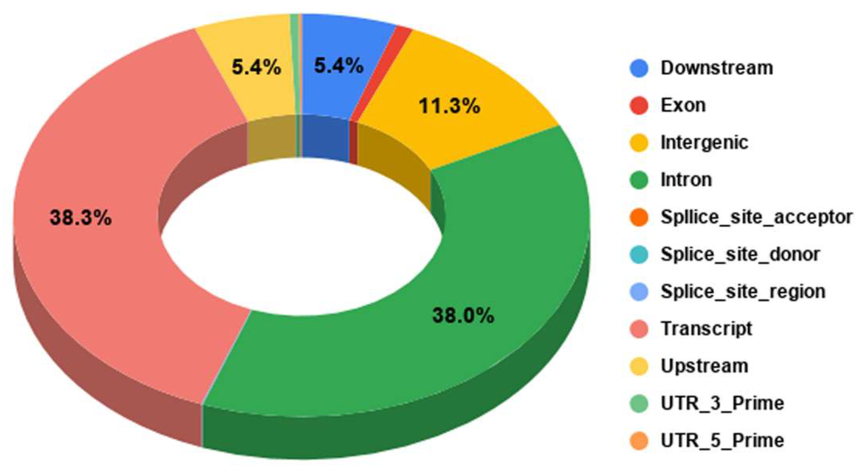 Preprints 161705 g004