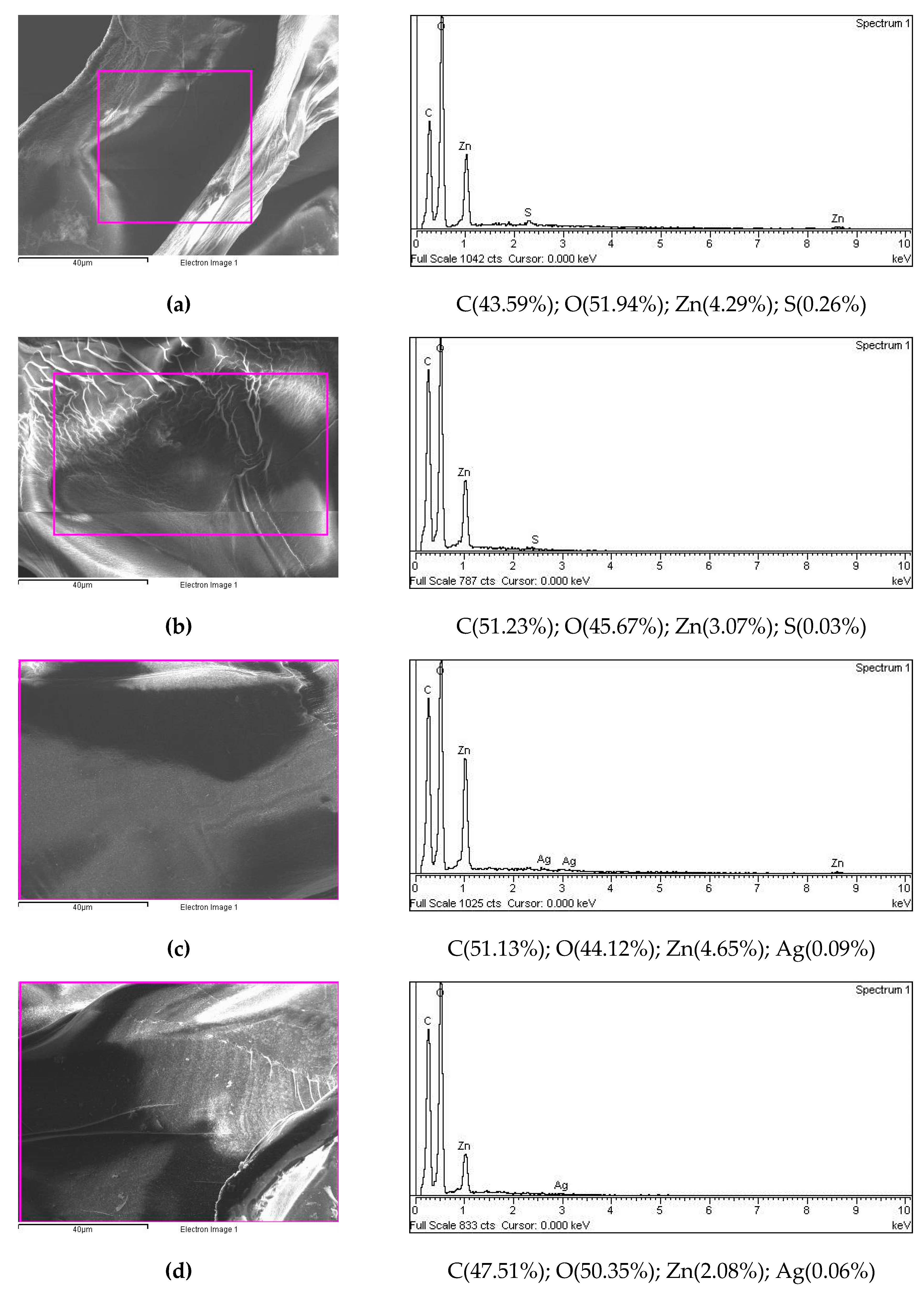 Preprints 87563 g003