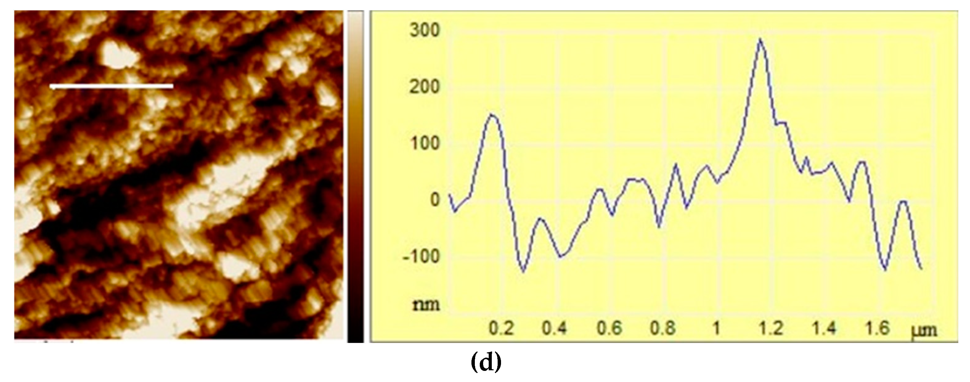 Preprints 87563 g005b