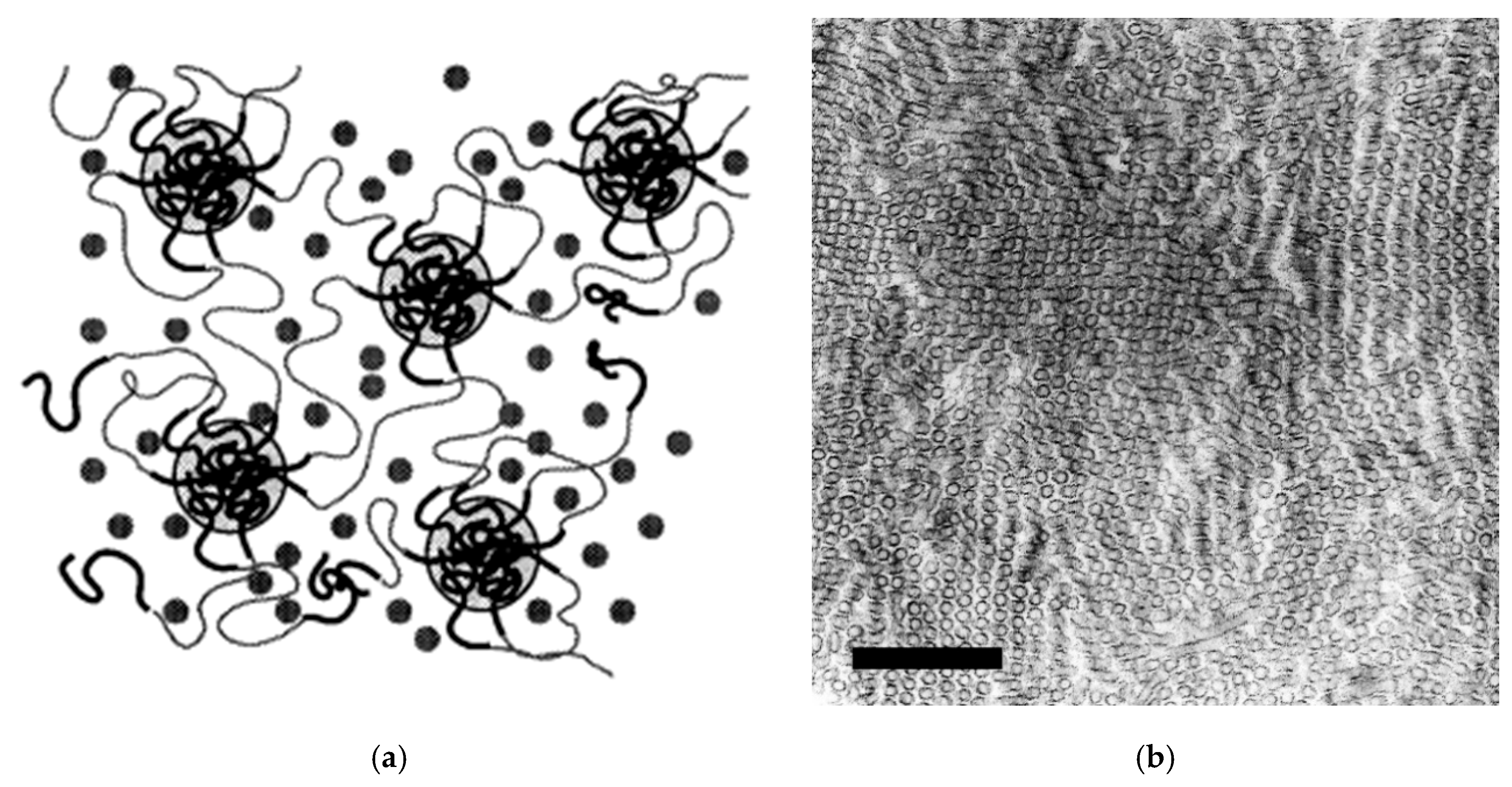 Preprints 205366 g001 Preprints 205366 g001