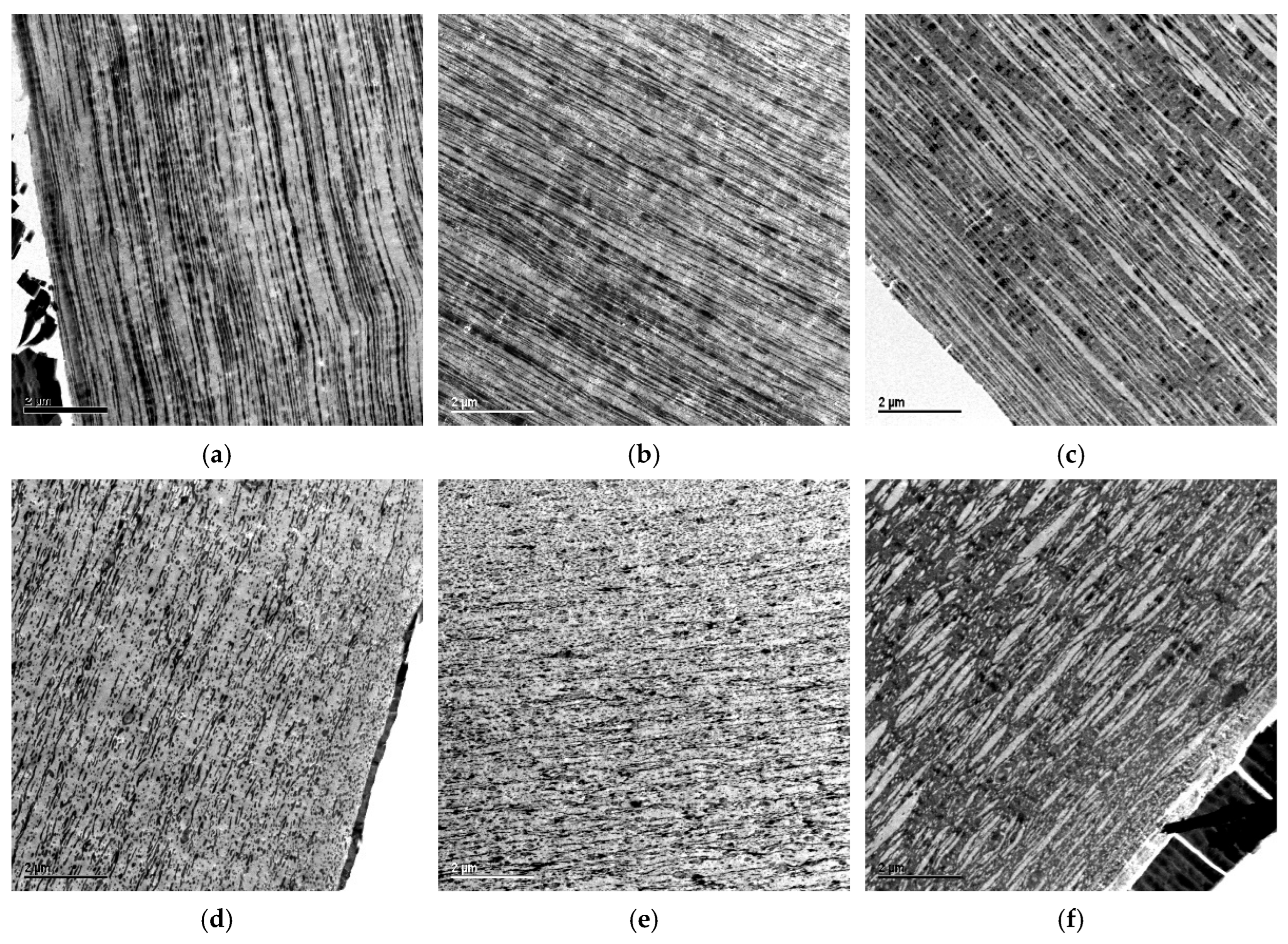 Preprints 205366 g004 Preprints 205366 g004