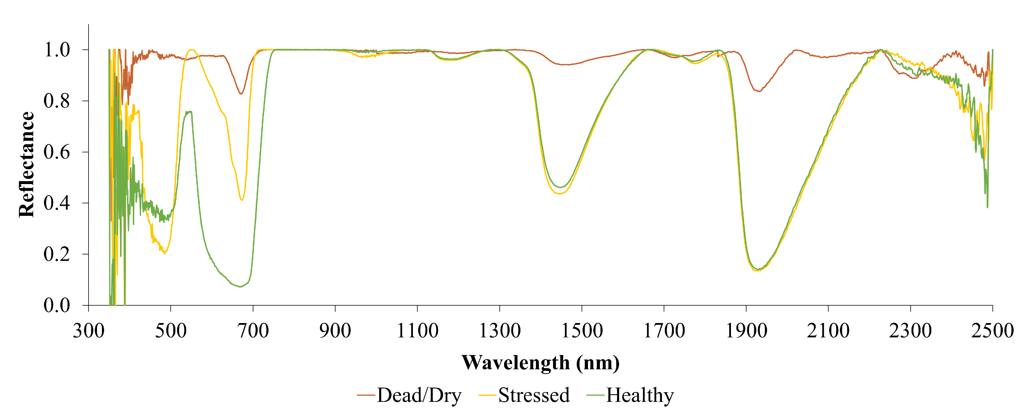 Preprints 146283 g010