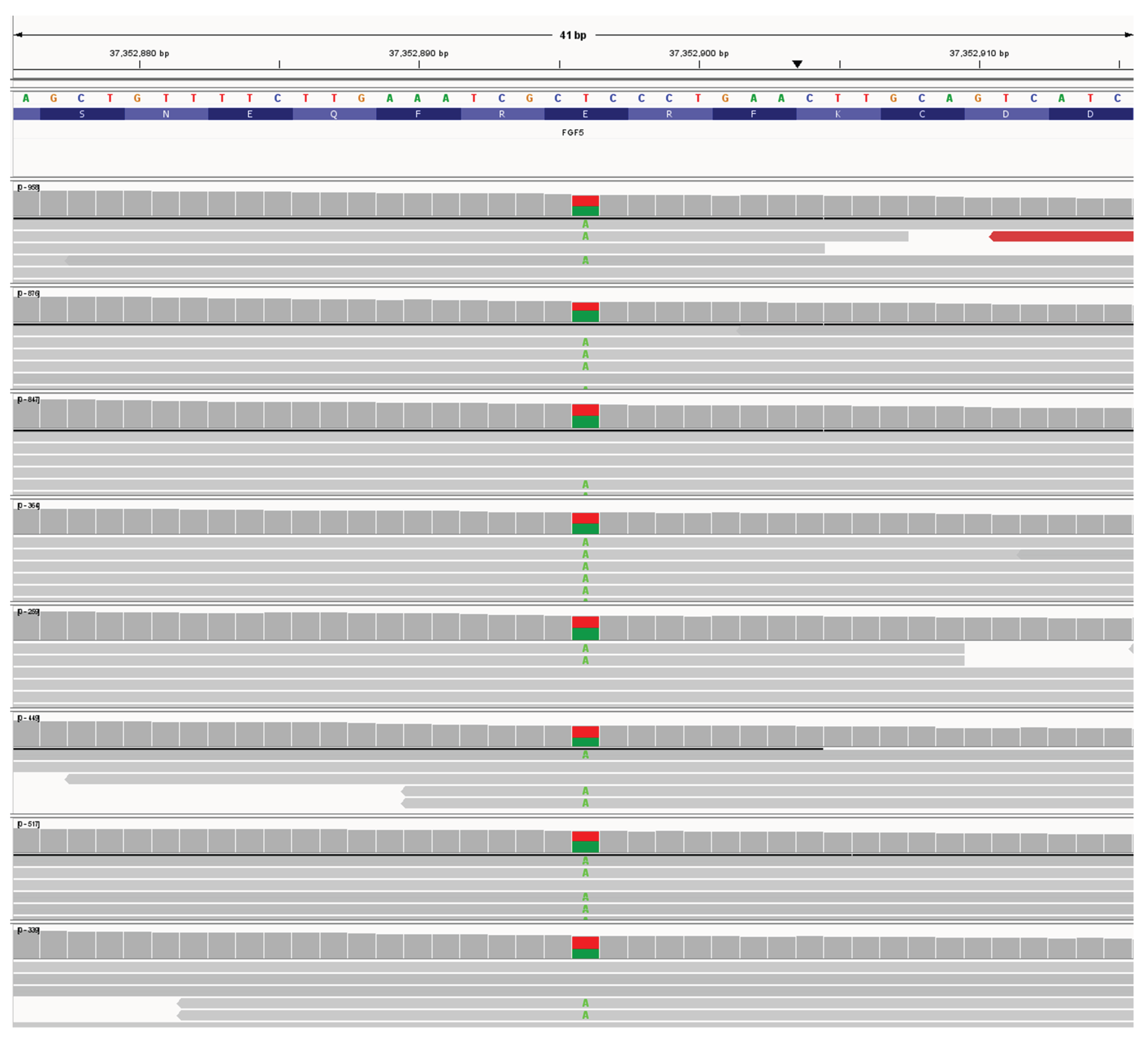 Preprints 194216 g003
