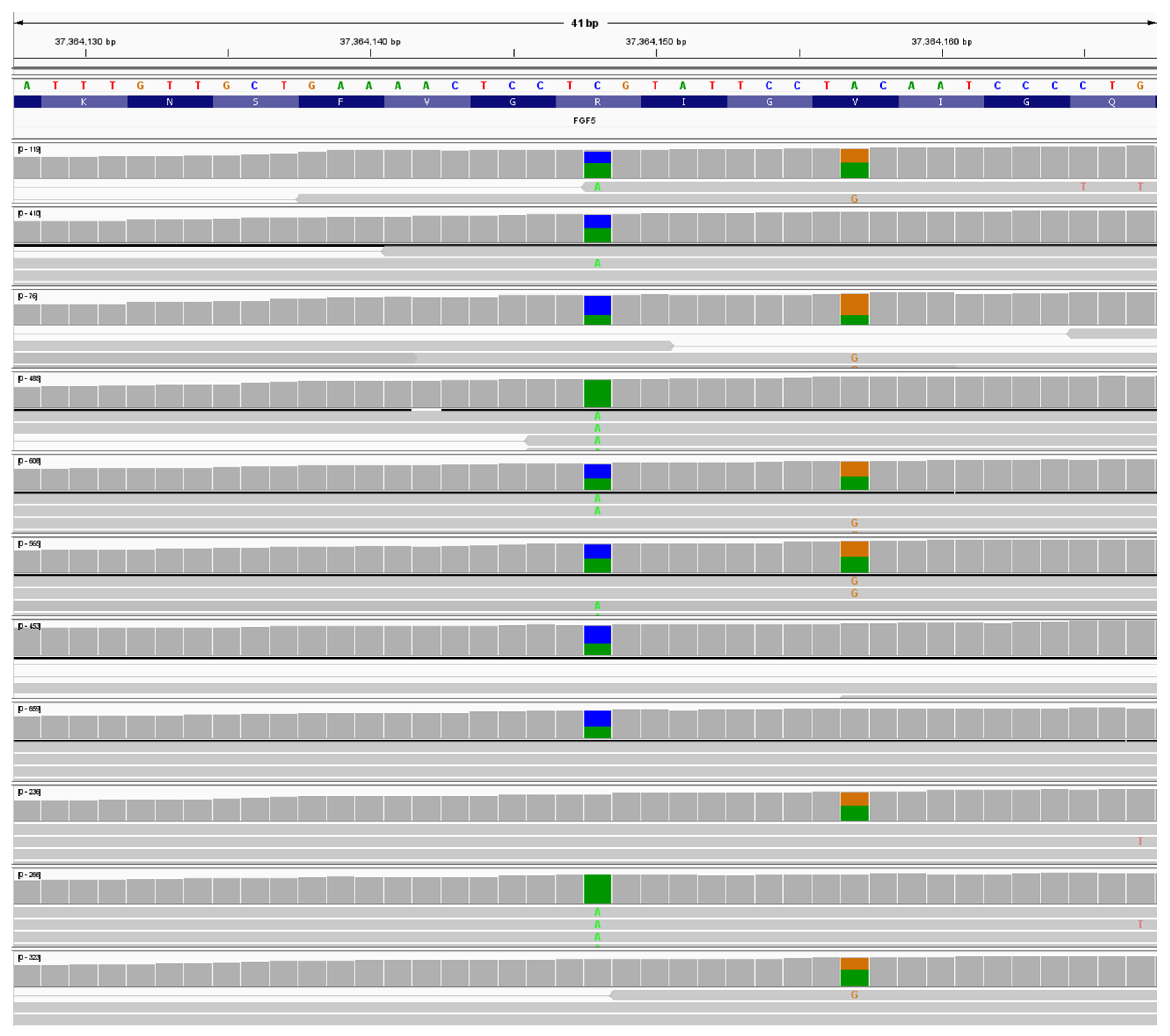 Preprints 194216 g004