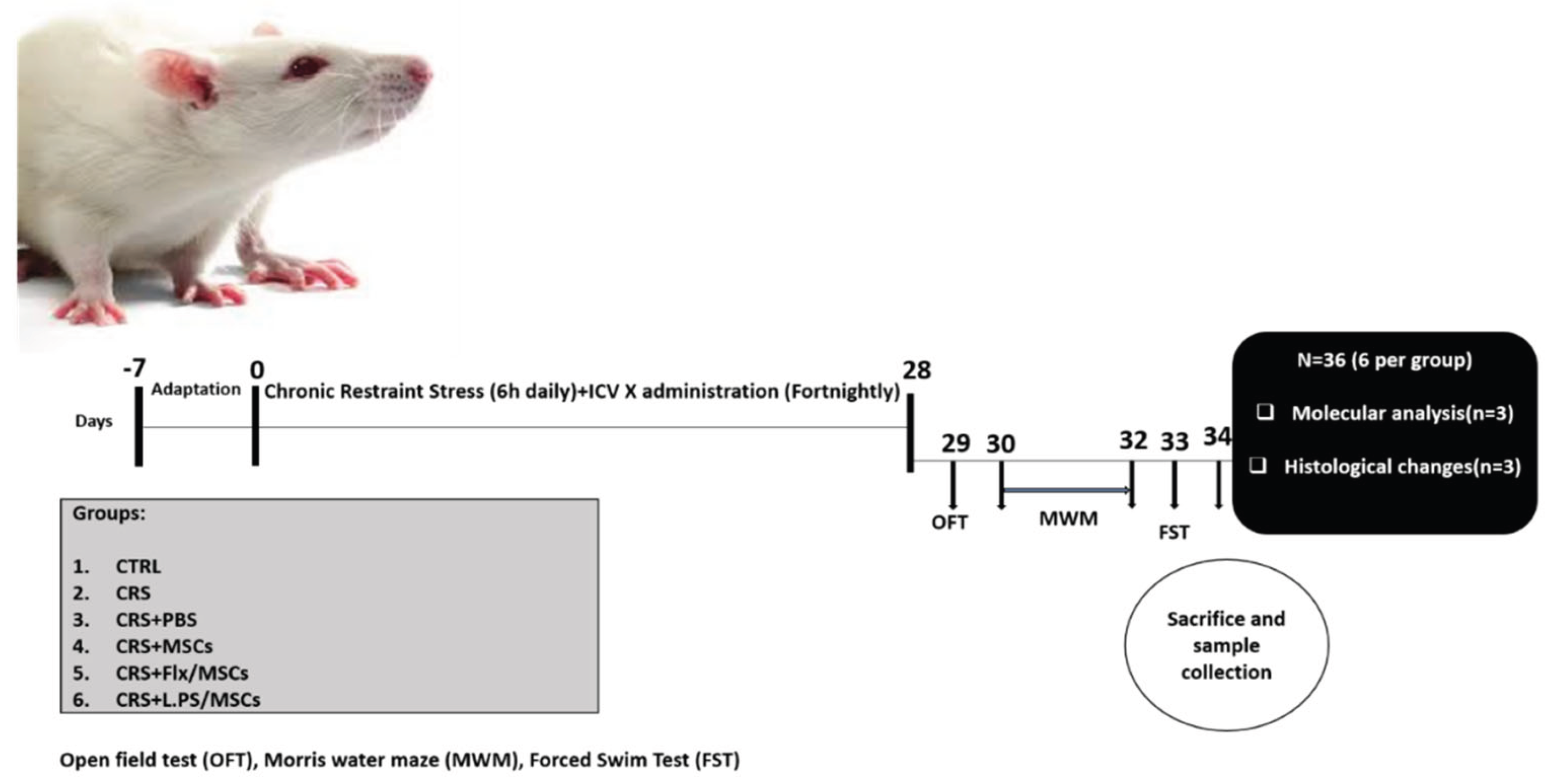 Preprints 168969 g001