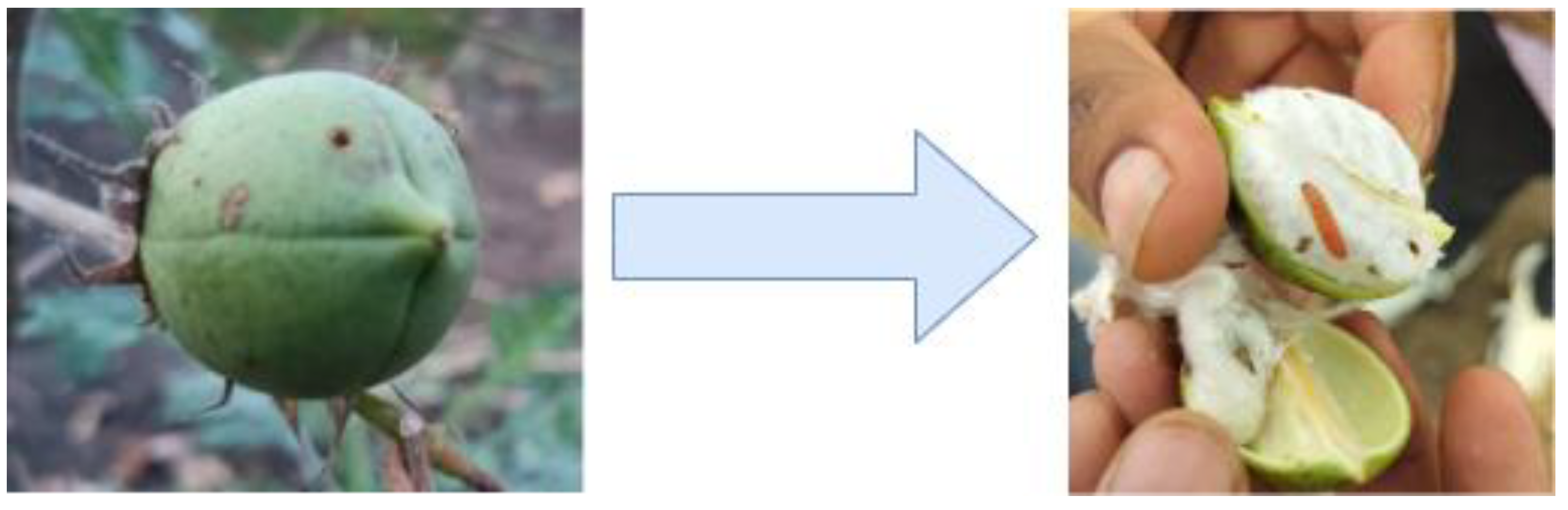 Preprints 92323 g001