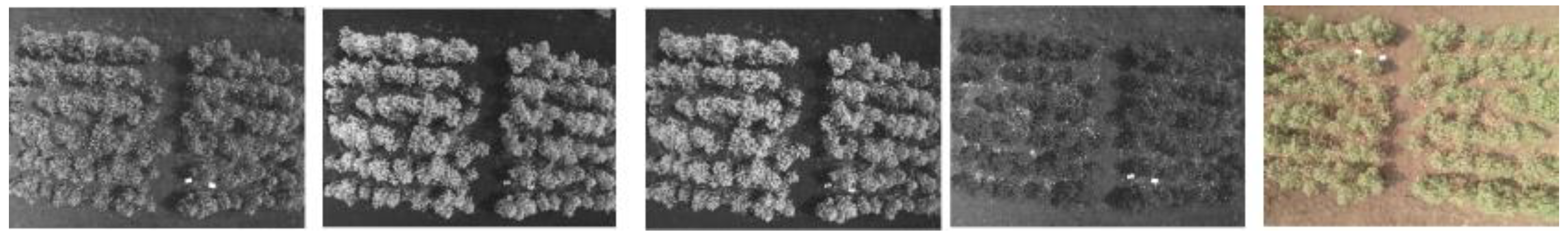 Preprints 92323 g004