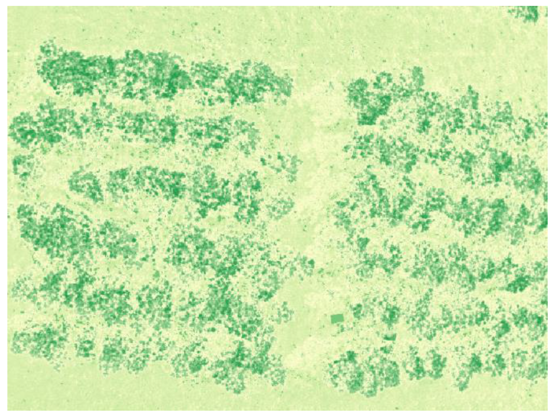 Preprints 92323 g007