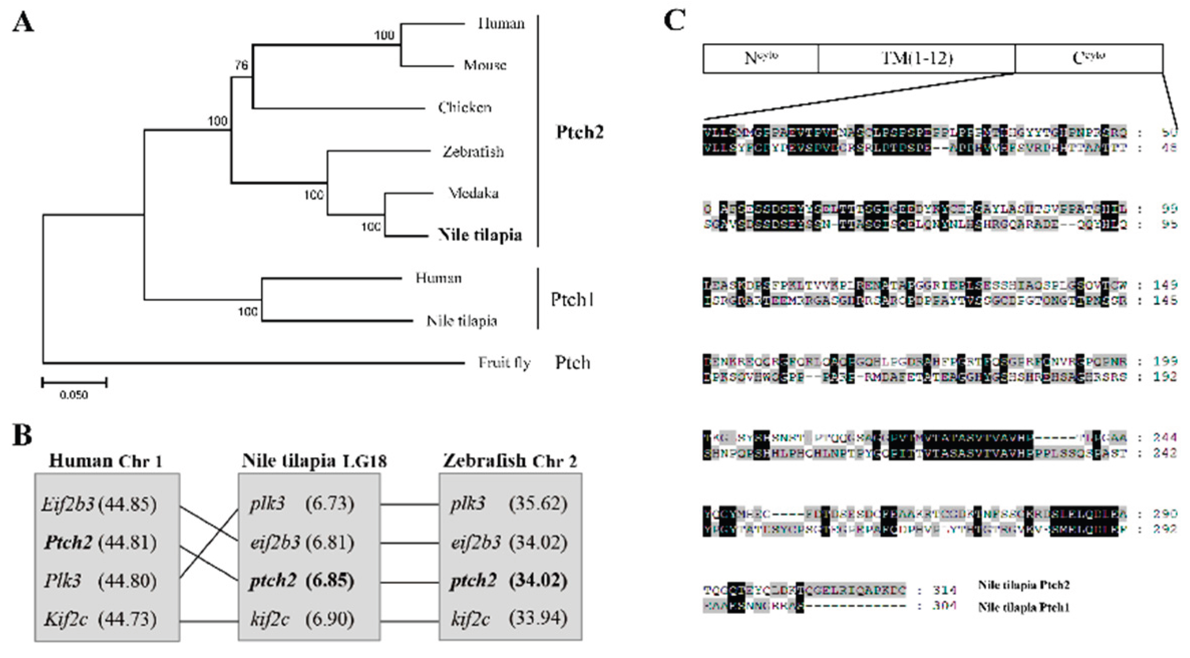 Preprints 191564 g001