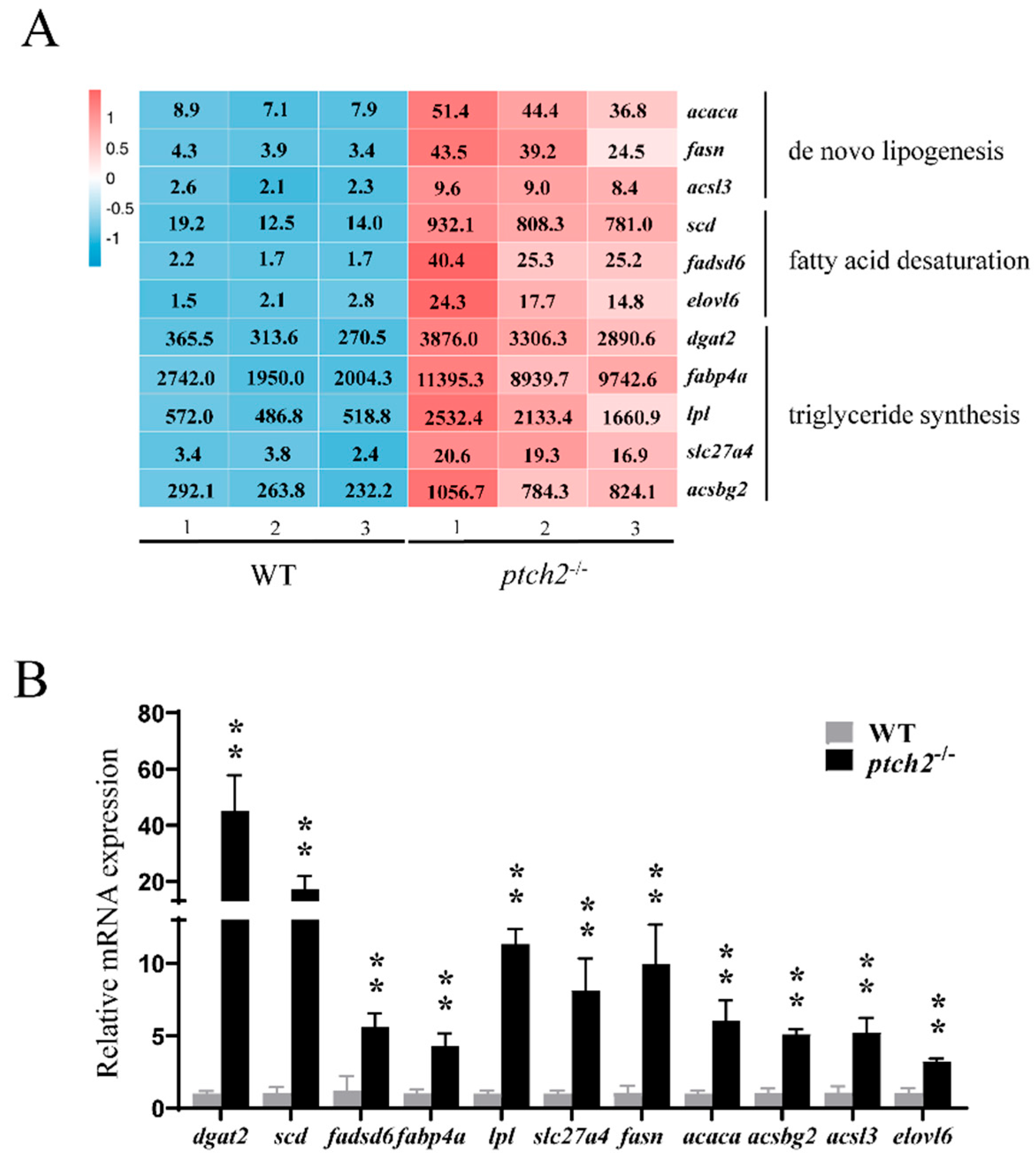 Preprints 191564 g005