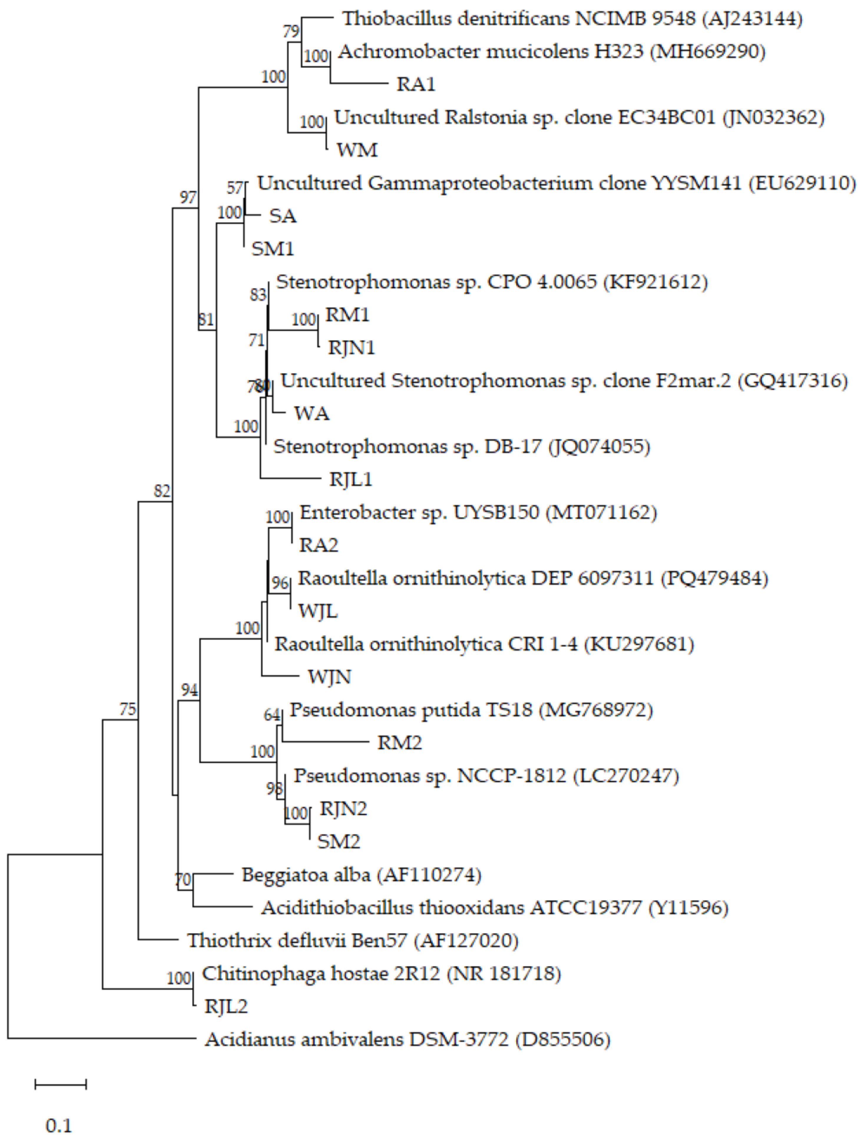 Preprints 196700 g002