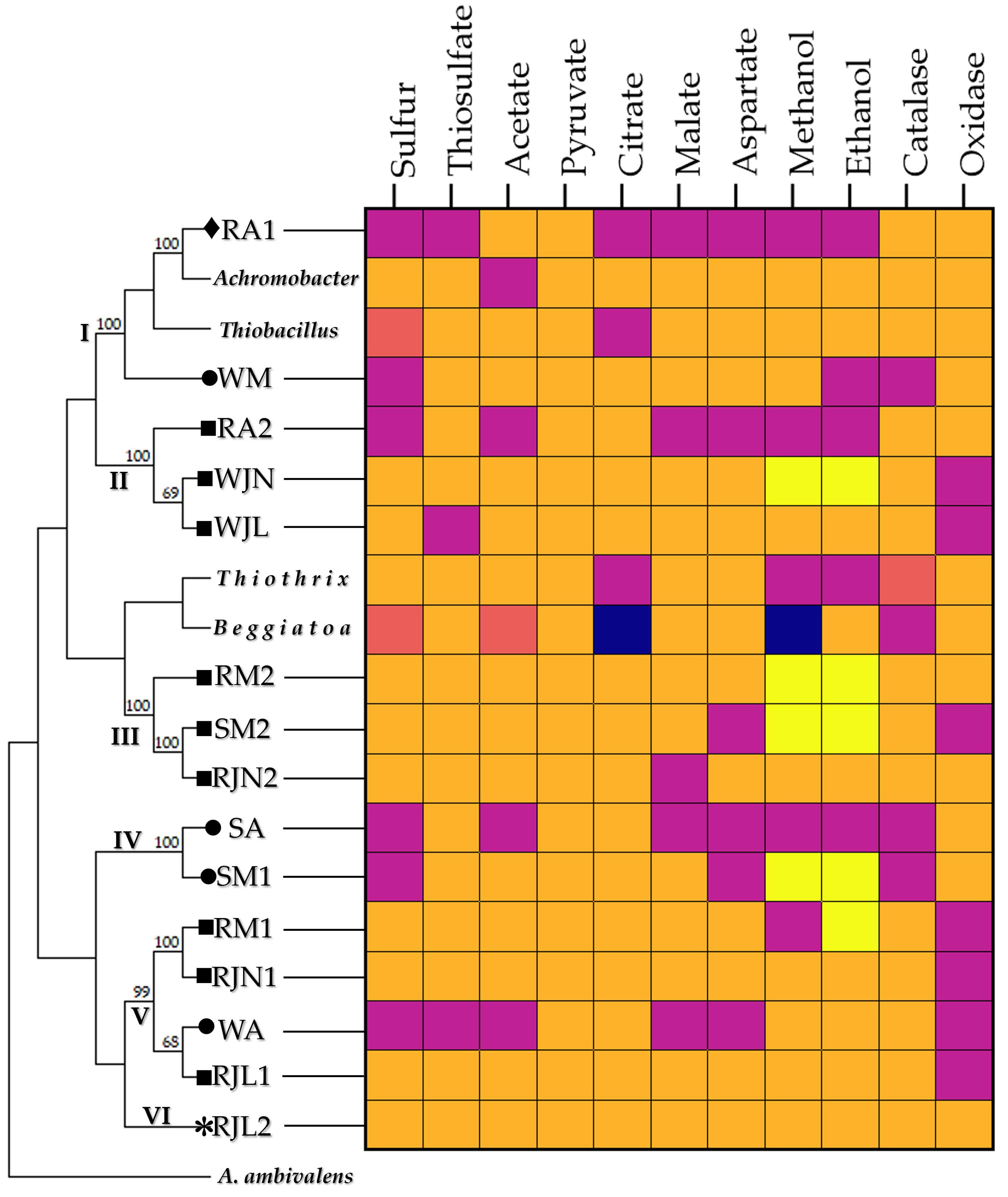 Preprints 196700 g006