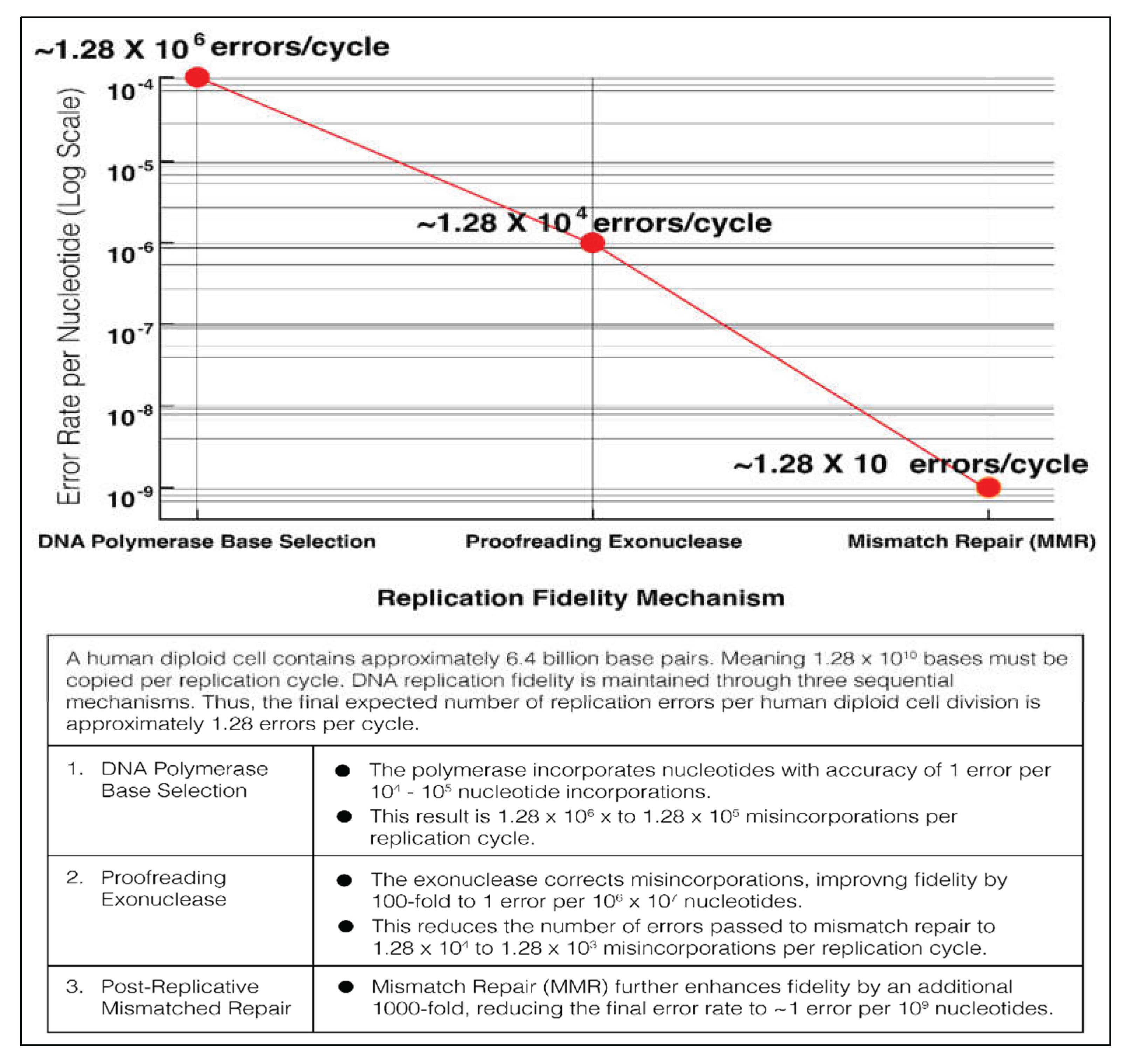 Preprints 198965 g002