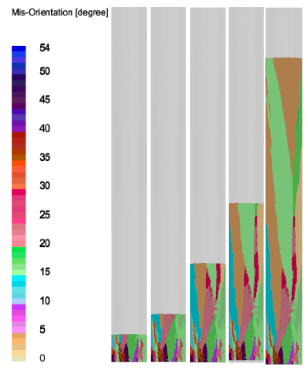Preprints 143616 g007
