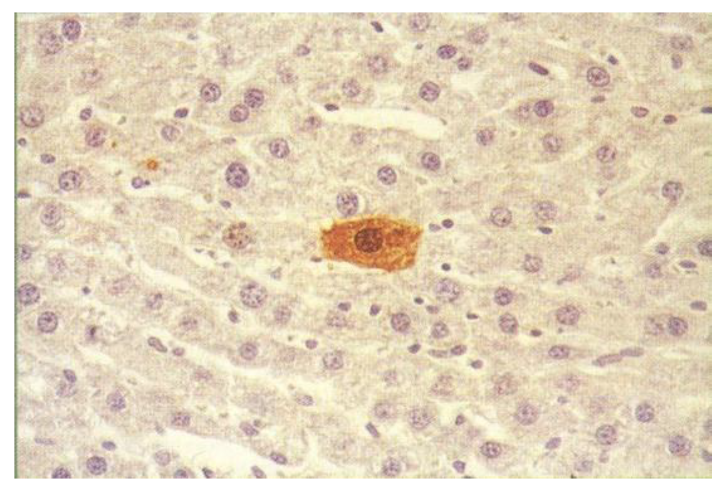 Preprints 159613 g001