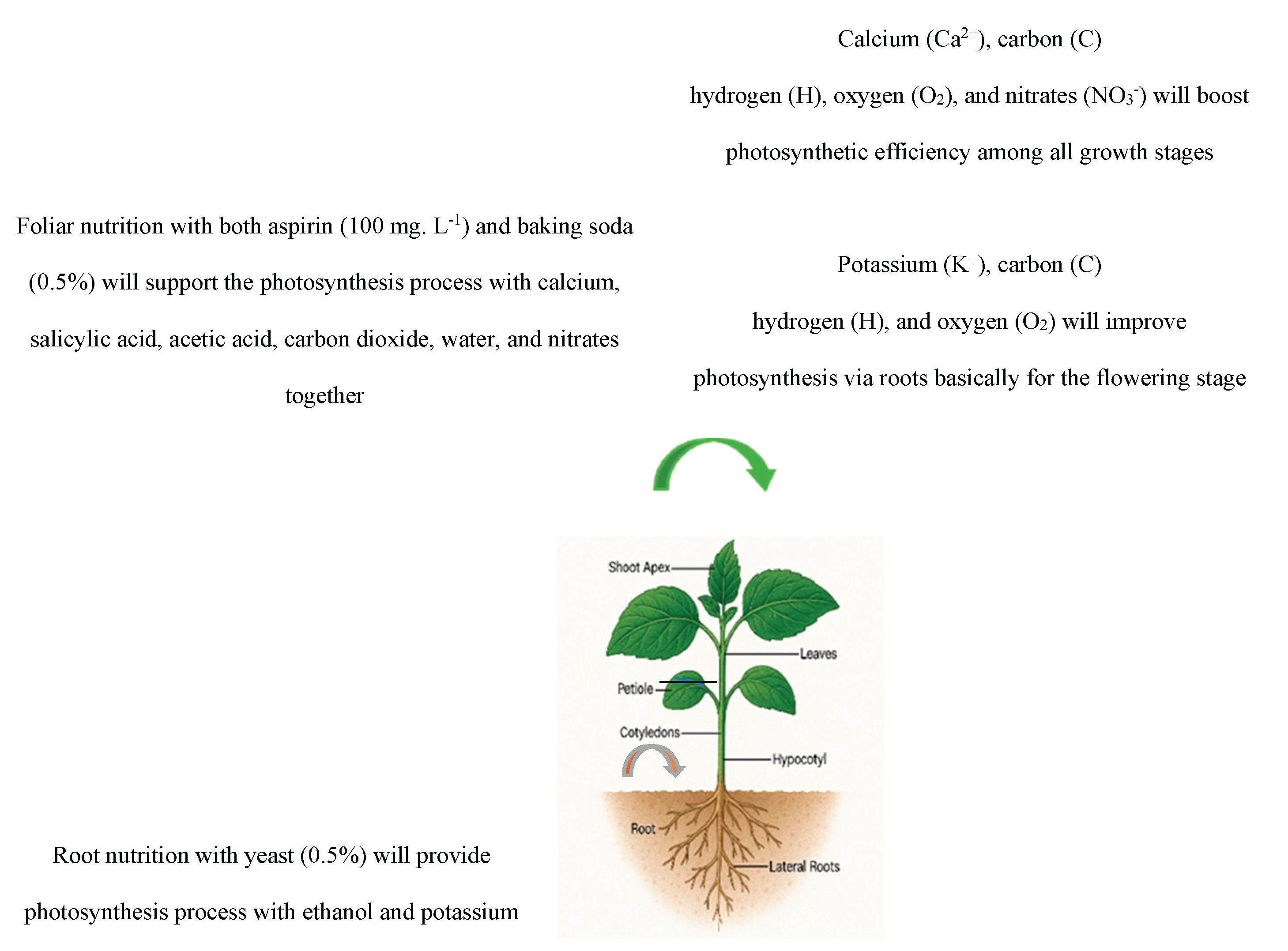 Preprints 168147 g001