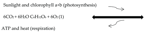 Preprints 168147 i001