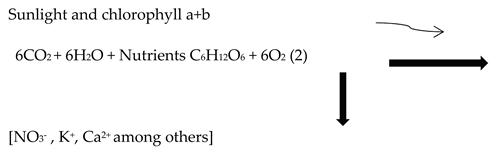 Preprints 168147 i002