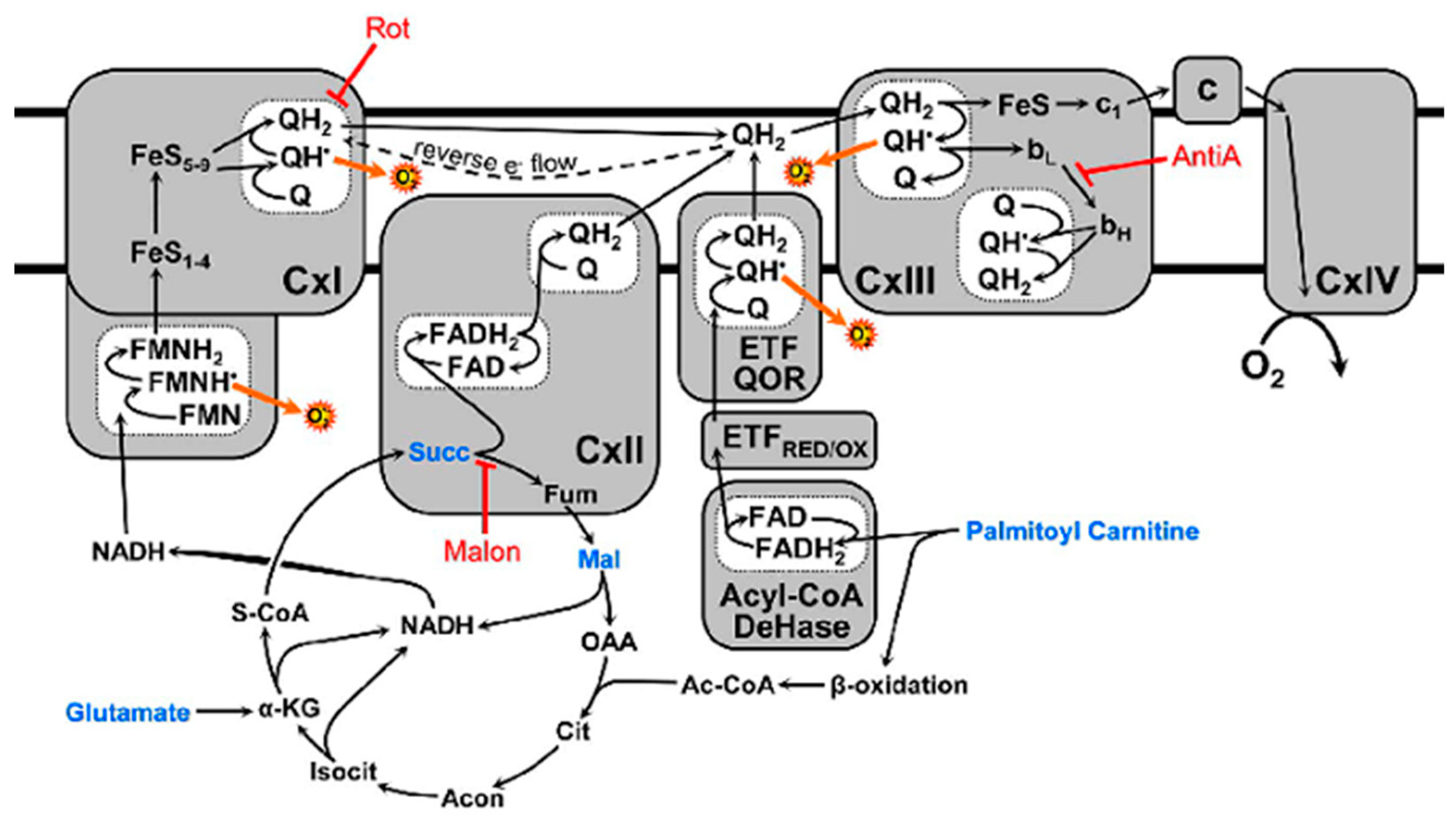 Preprints 94643 g001