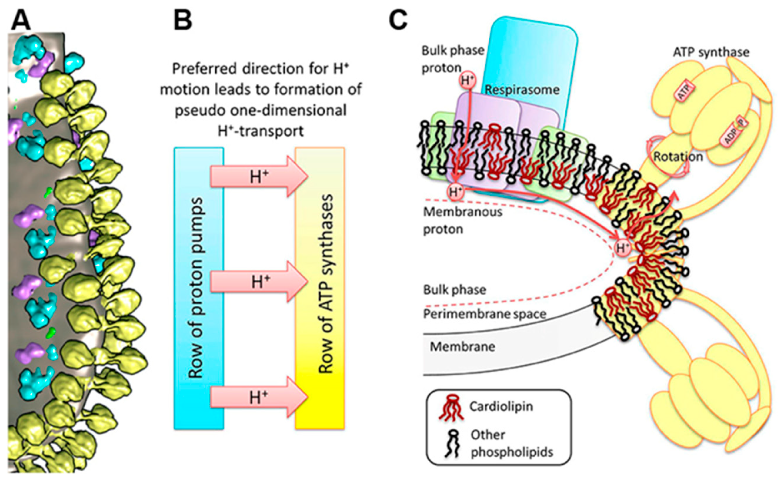 Preprints 94643 g004