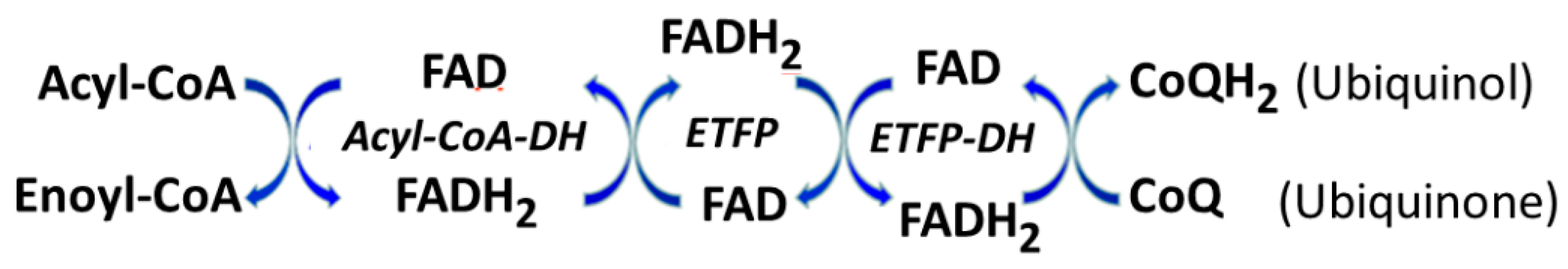 Preprints 94643 g005