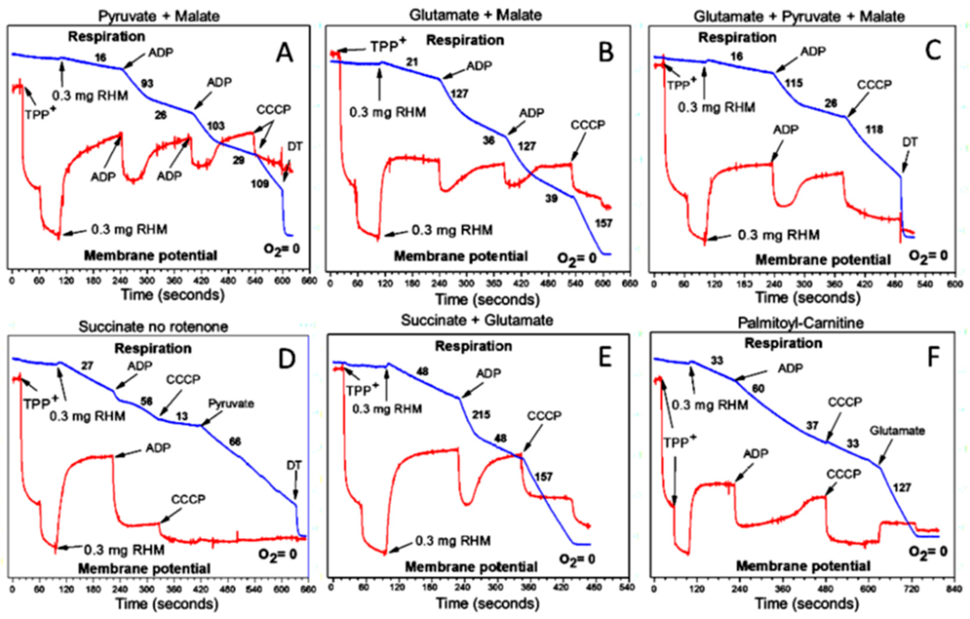 Preprints 94643 g007