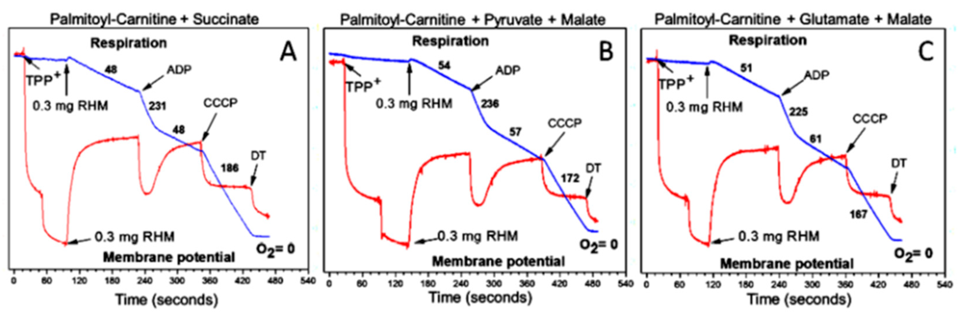 Preprints 94643 g008