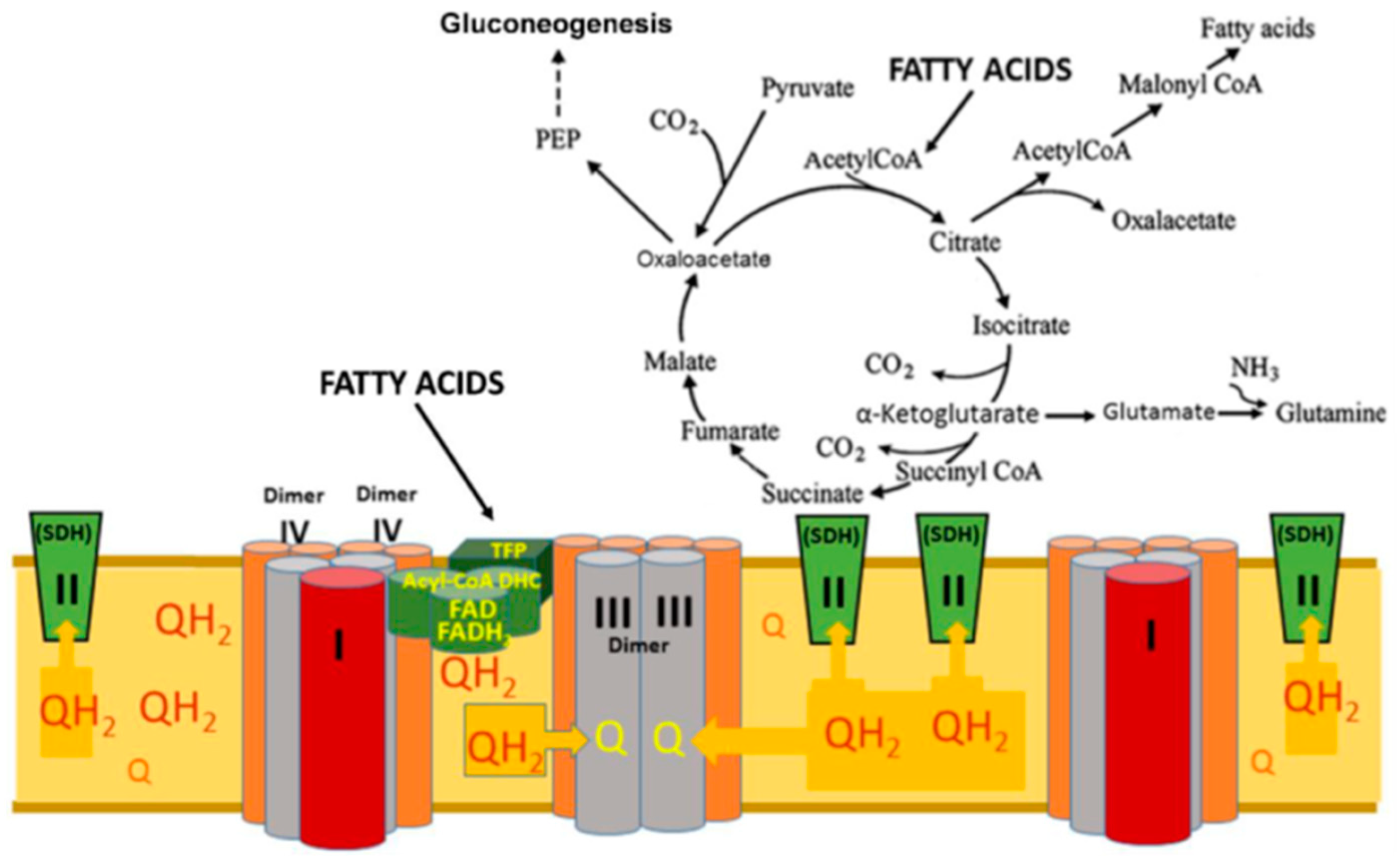 Preprints 94643 g009