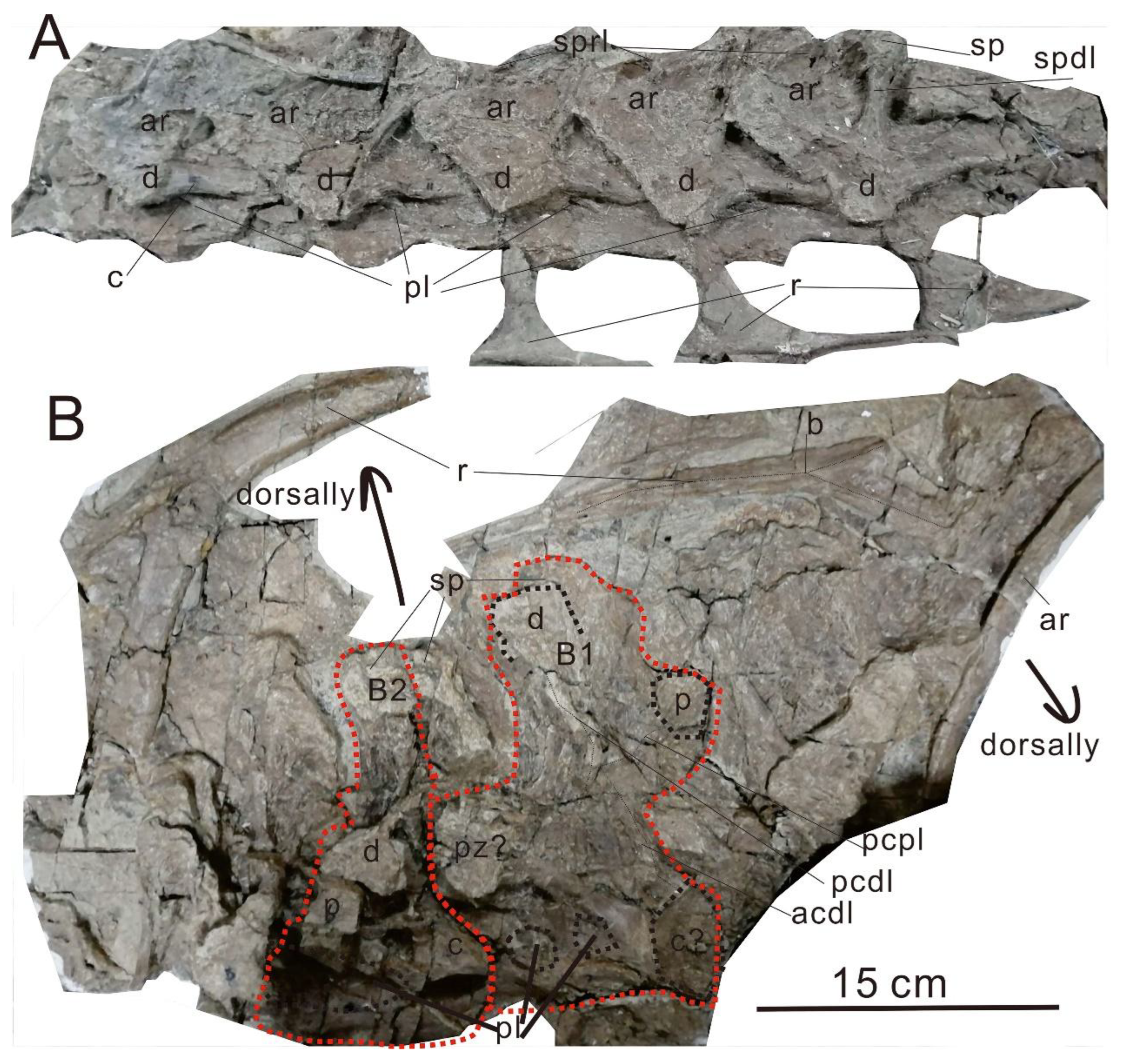 Preprints 150995 g002